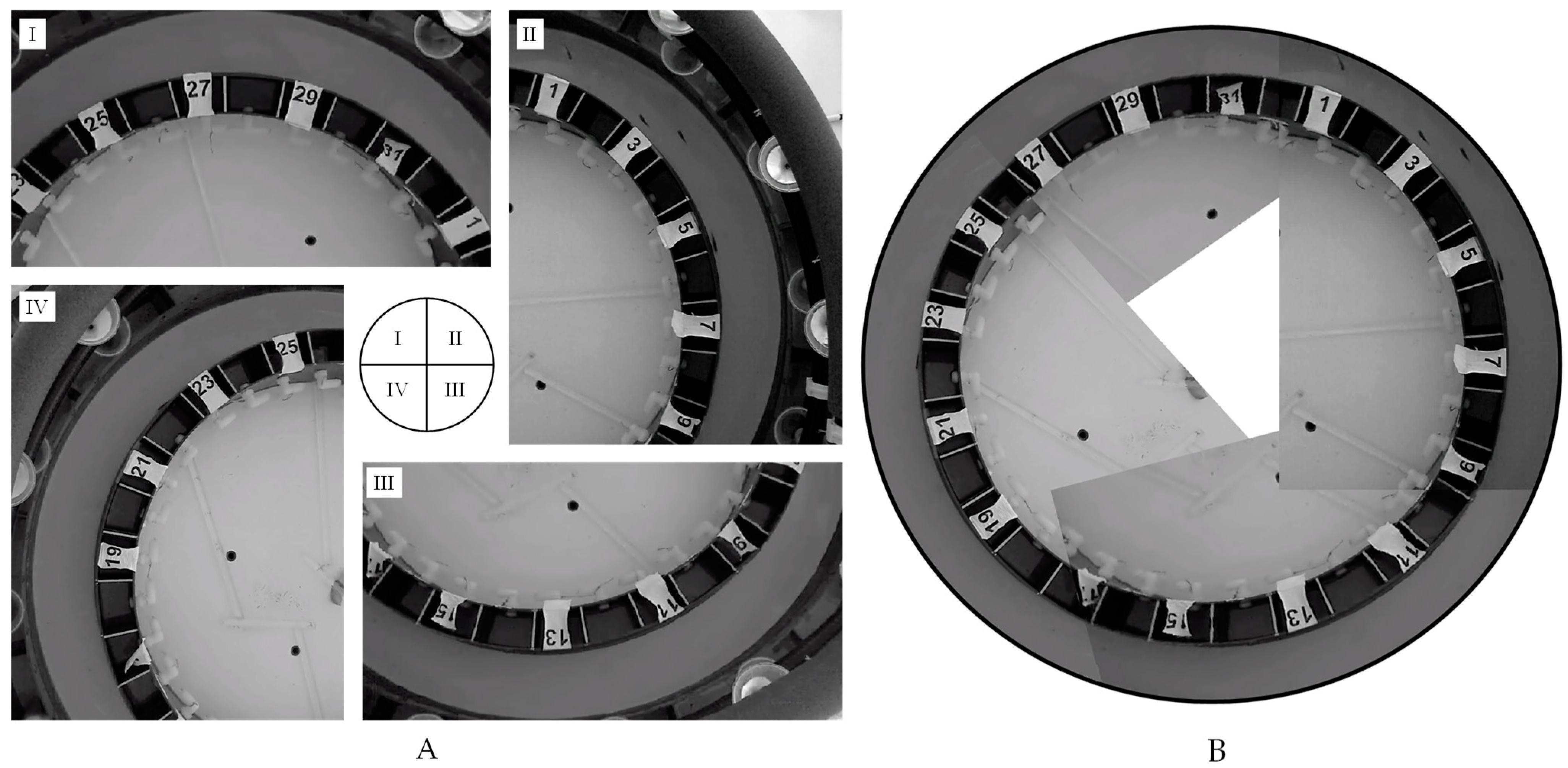 Fishes 06 00075 g003 Fishes 06 00075 g003
