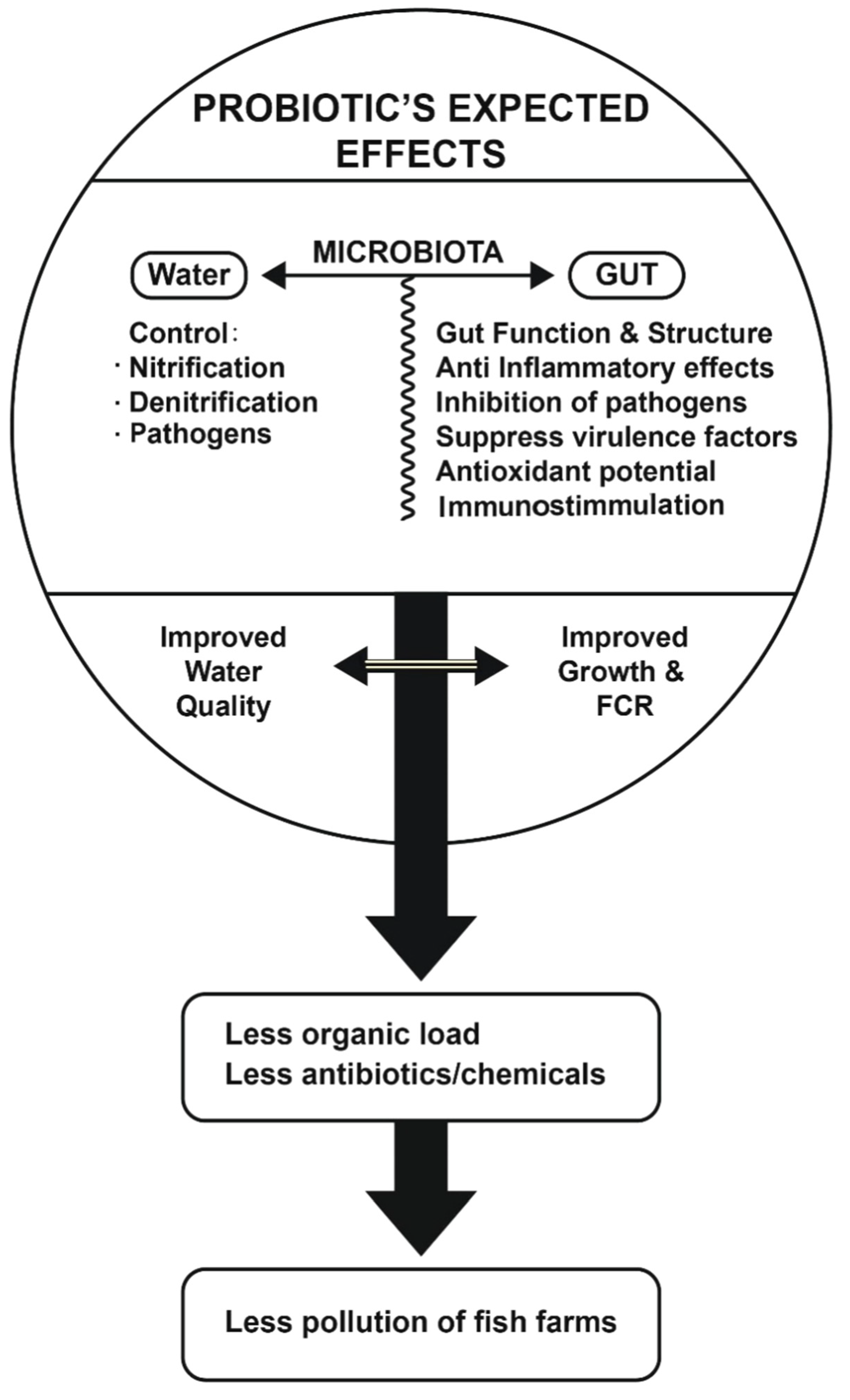 Fishes 06 00076 g002 Fishes 06 00076 g002