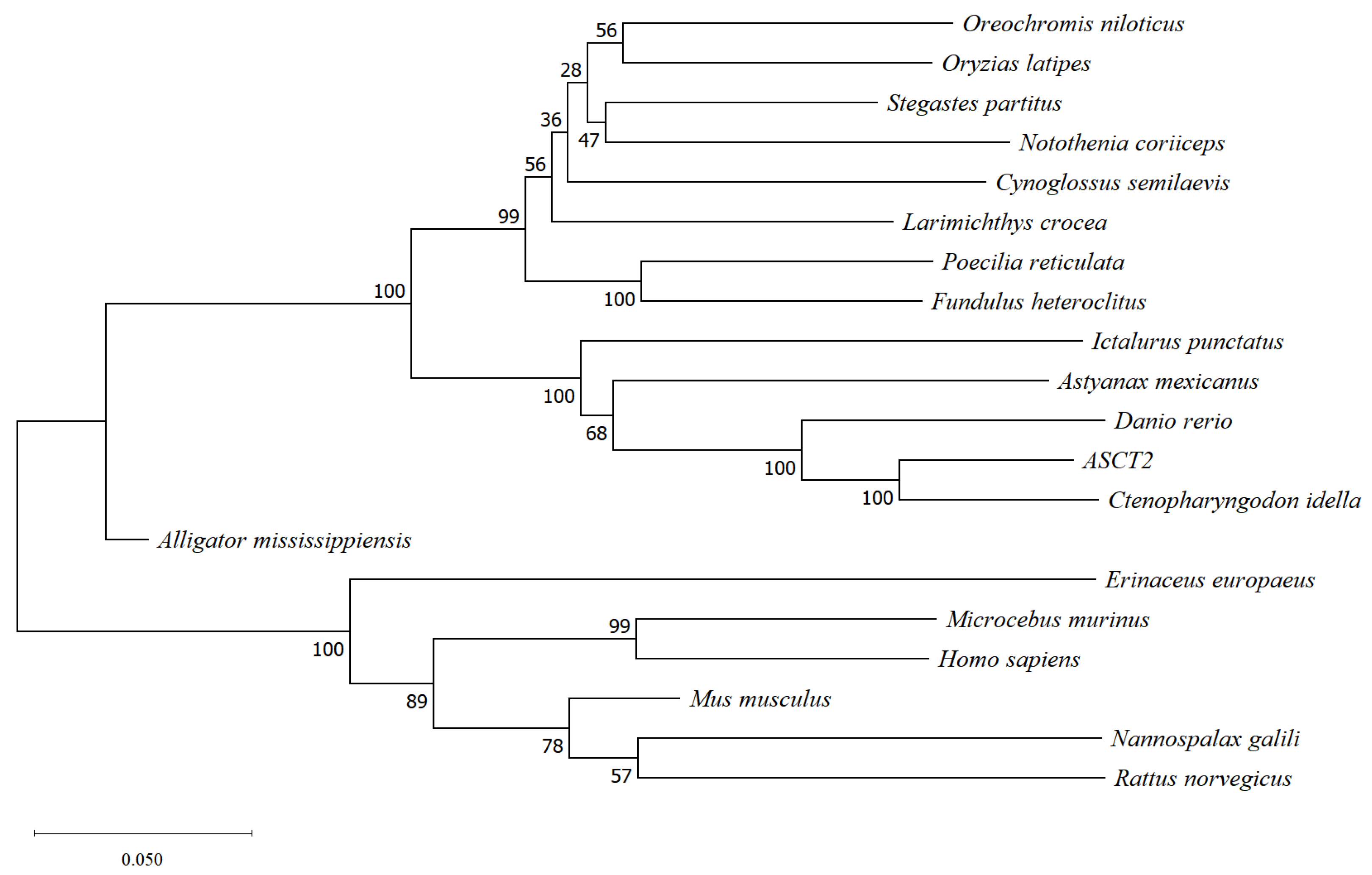 Fishes 06 00077 g001
