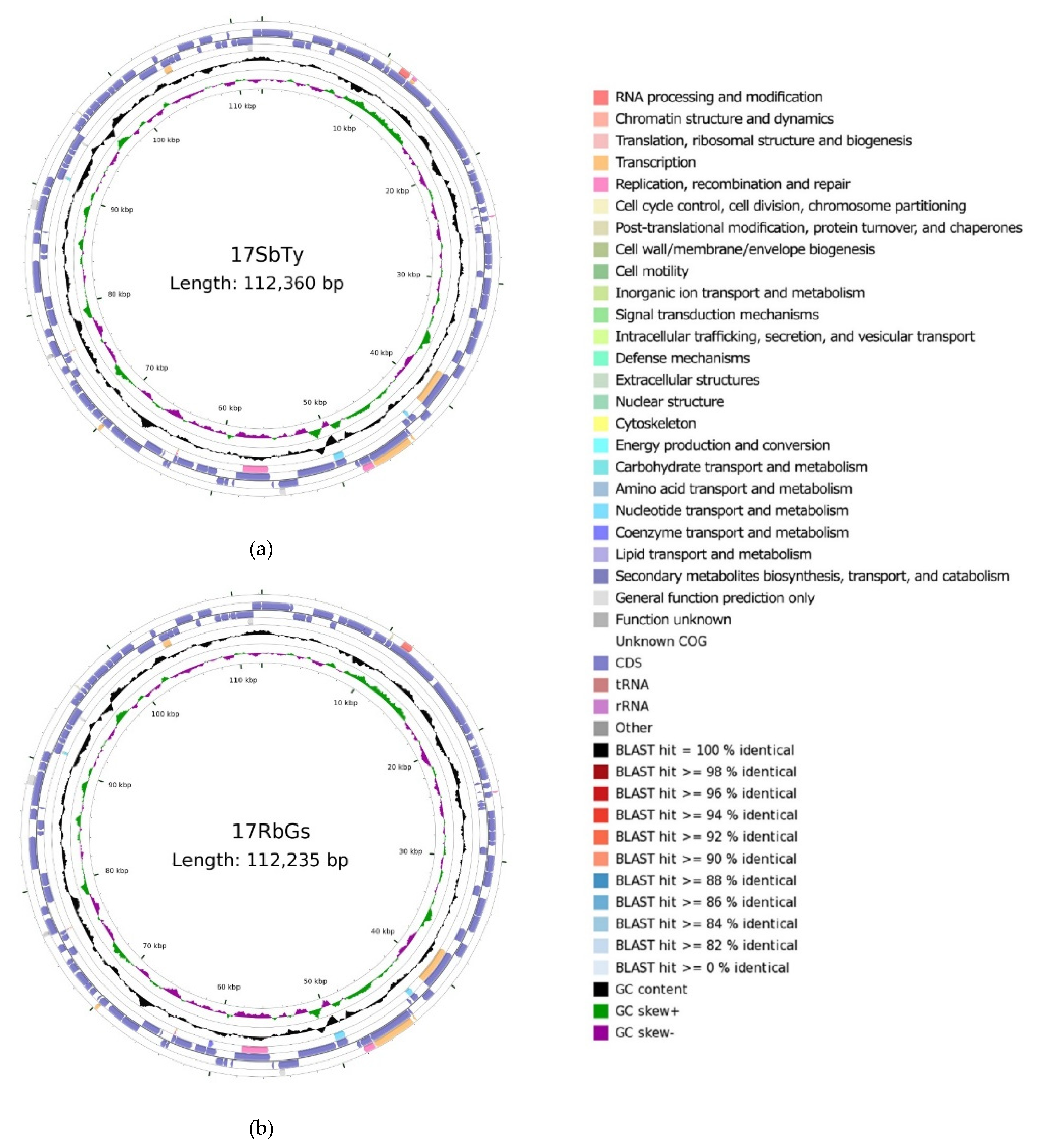 Fishes 06 00082 g002