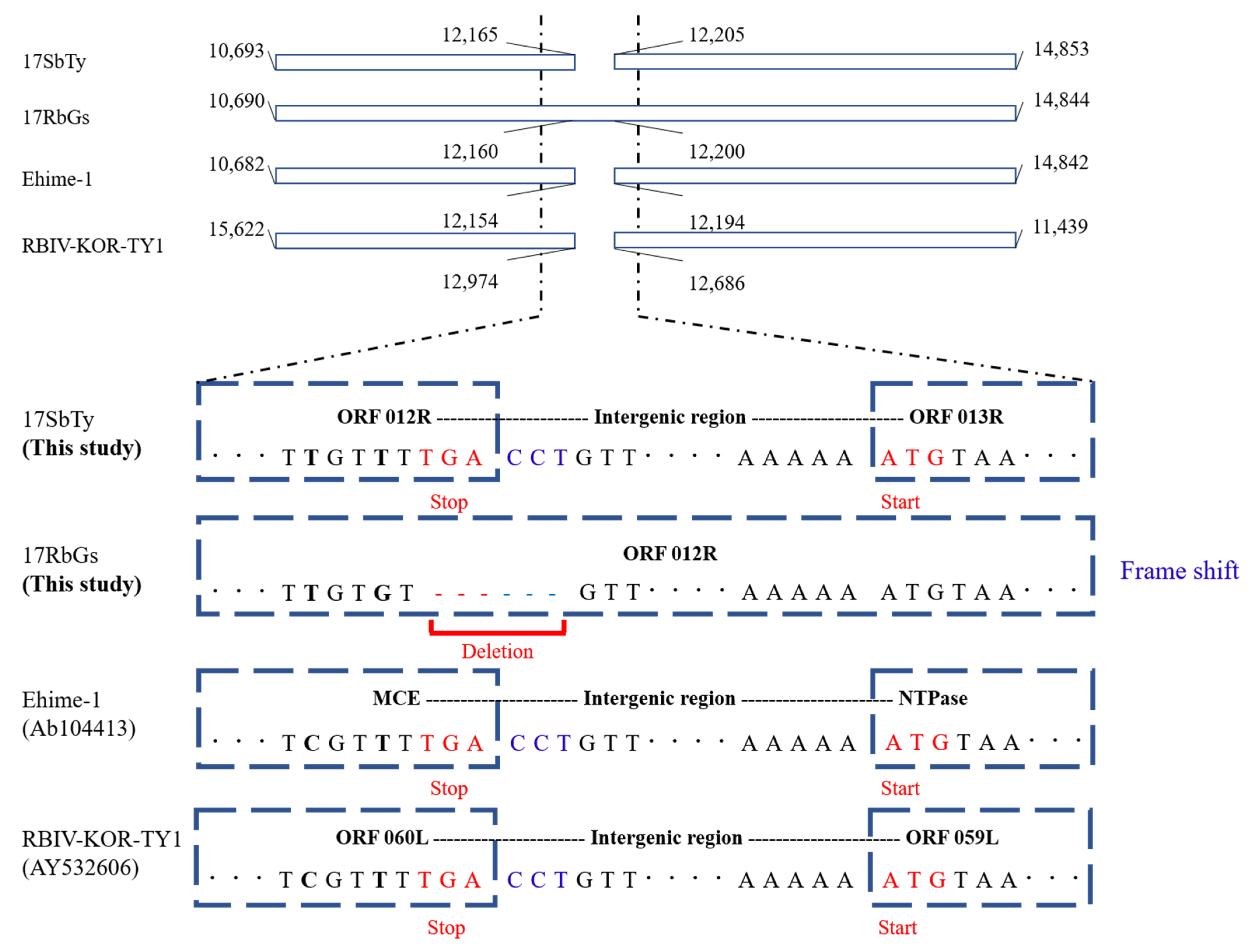 Fishes 06 00082 g004