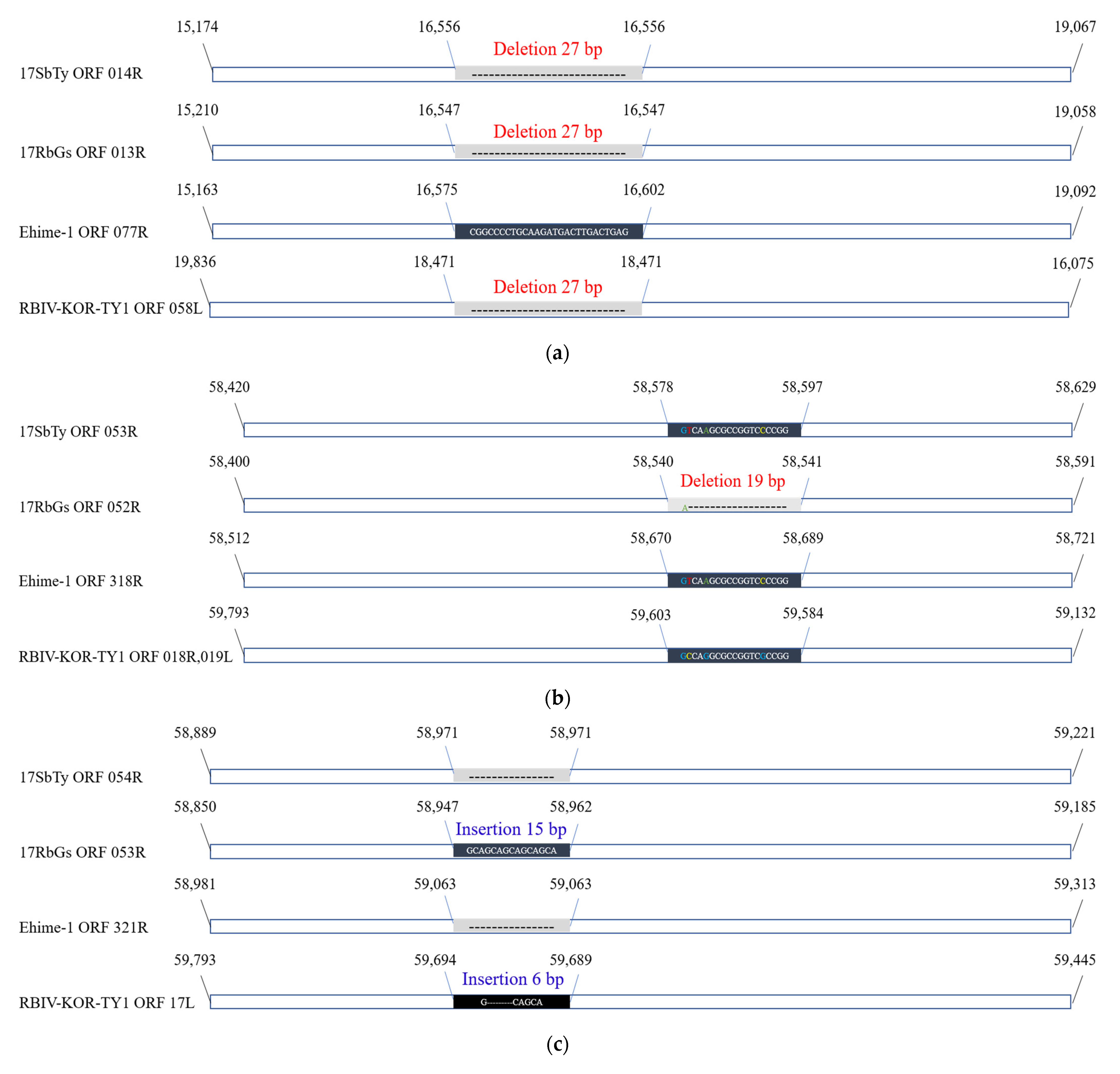 Fishes 06 00082 g005a