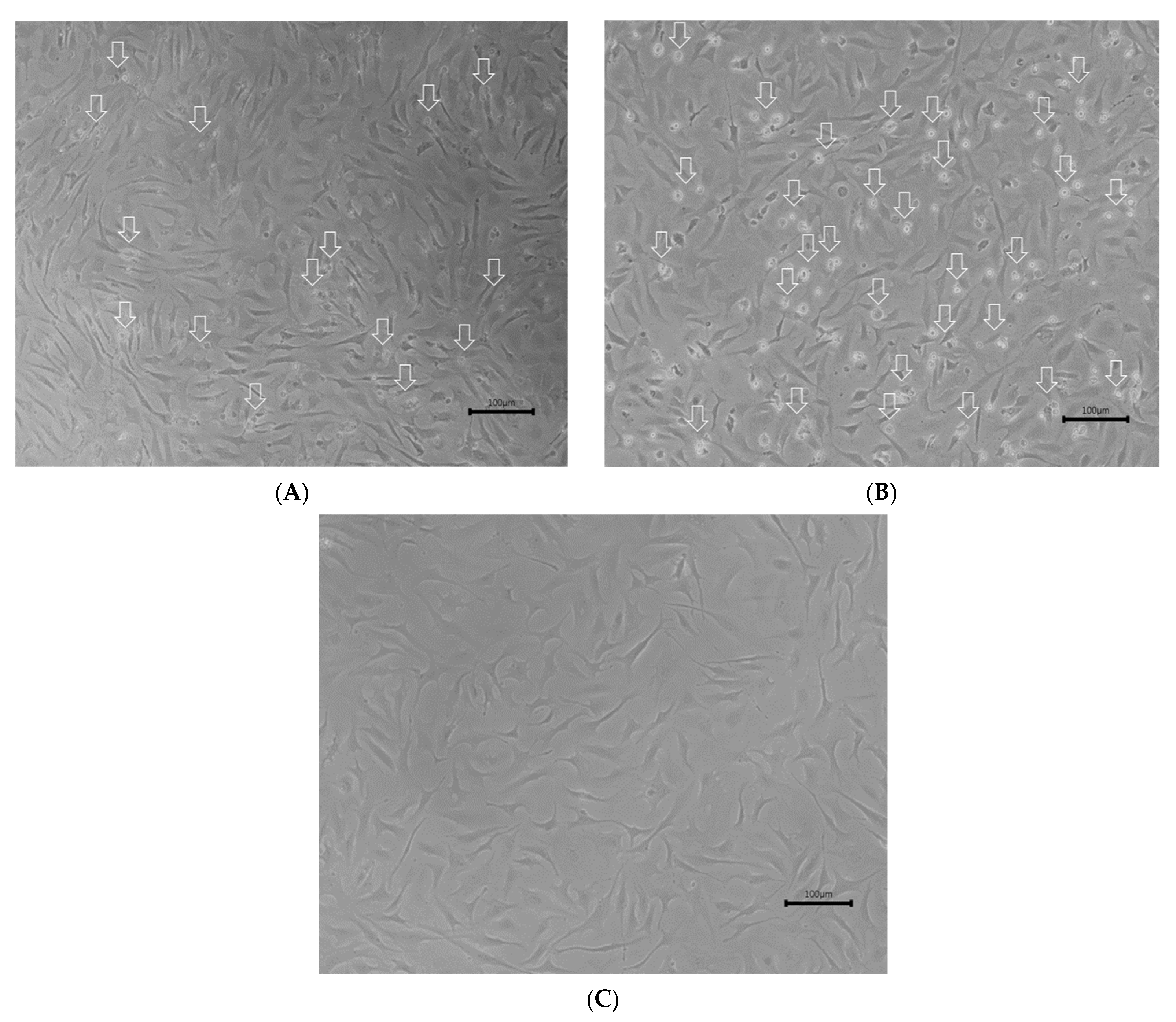 Fishes 06 00082 g0a1