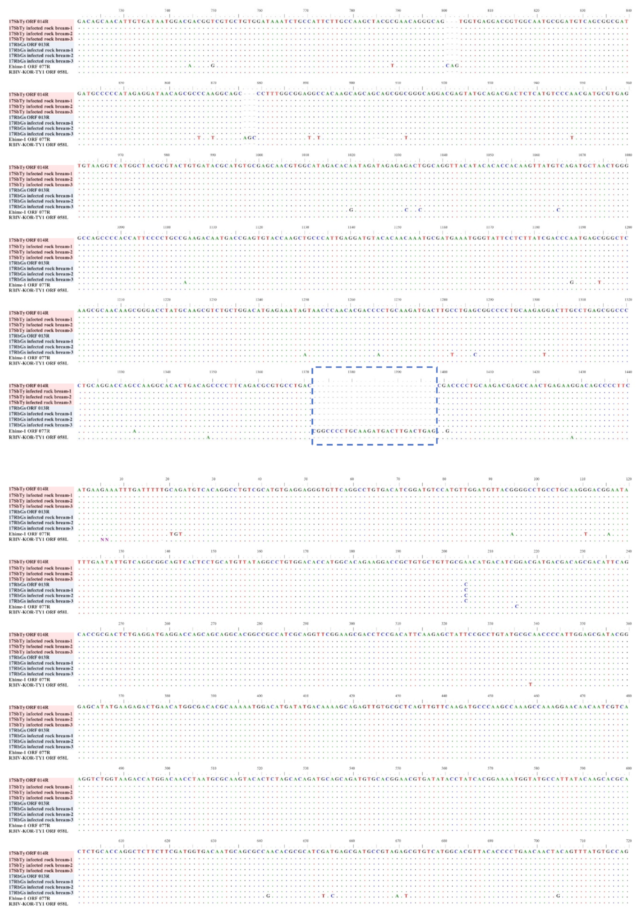 Fishes 06 00082 g0a2a