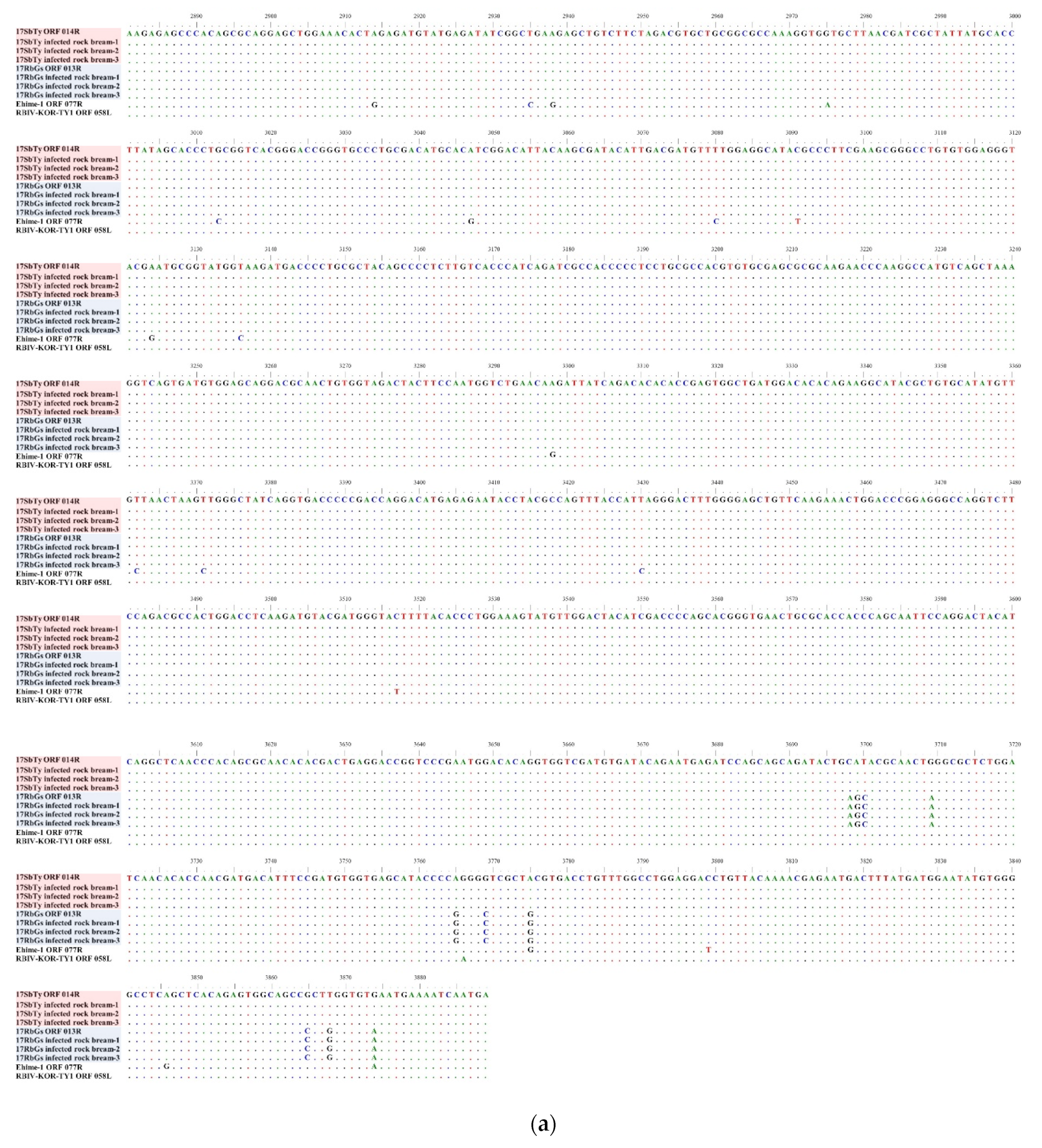 Fishes 06 00082 g0a2c