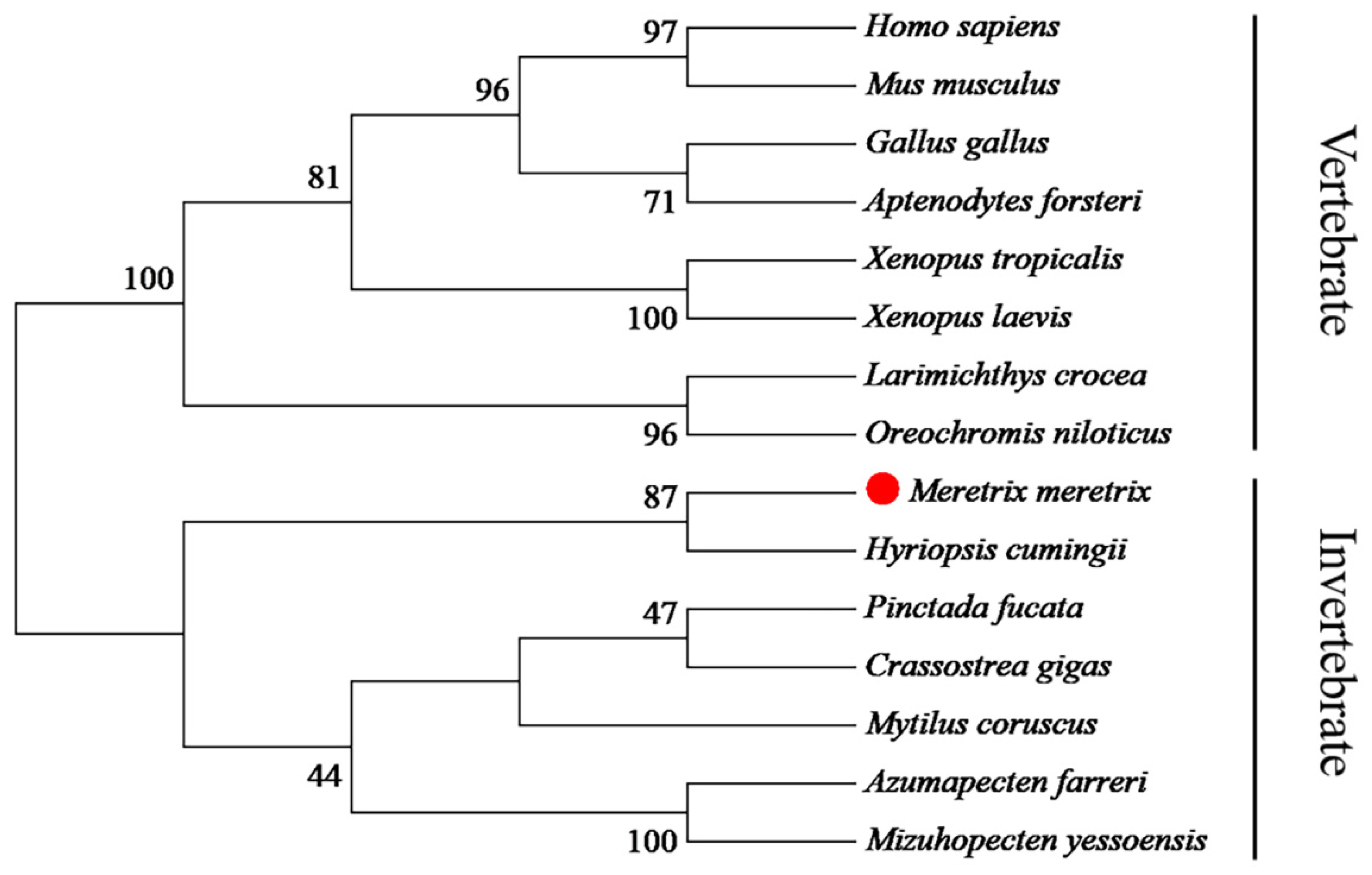 Fishes 06 00083 g002