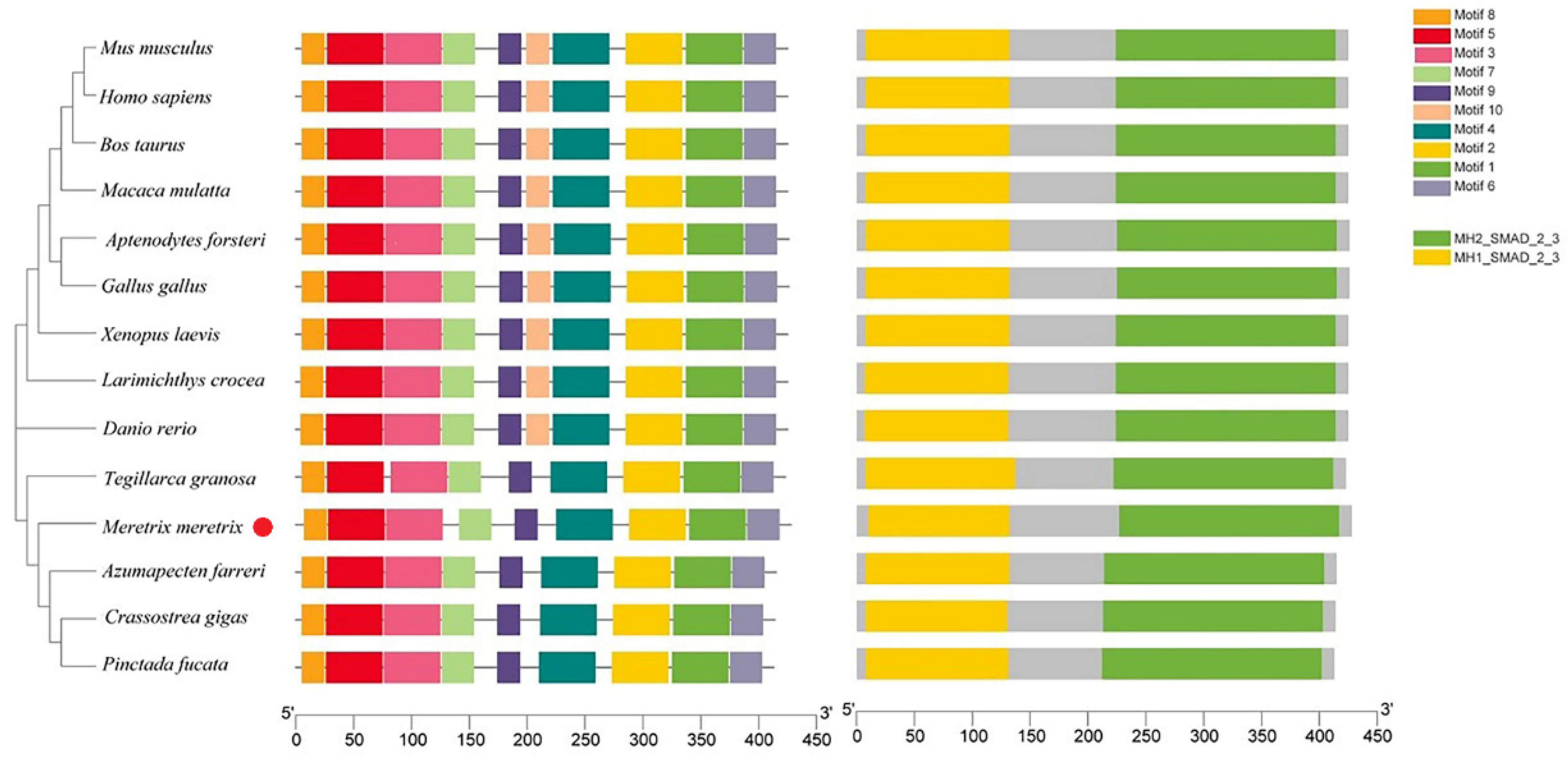 Fishes 06 00083 g003
