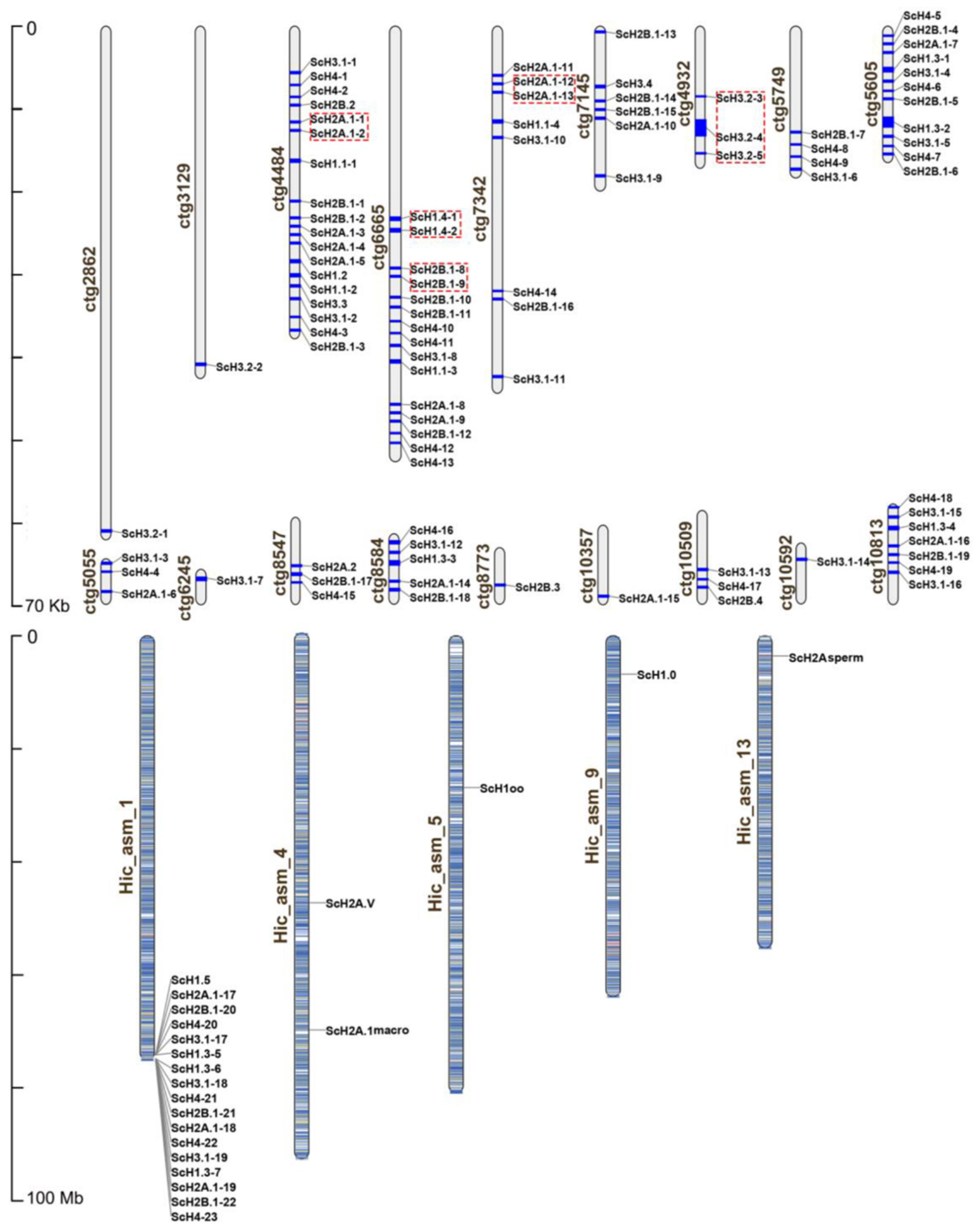 Fishes 07 00005 g001 Fishes 07 00005 g001