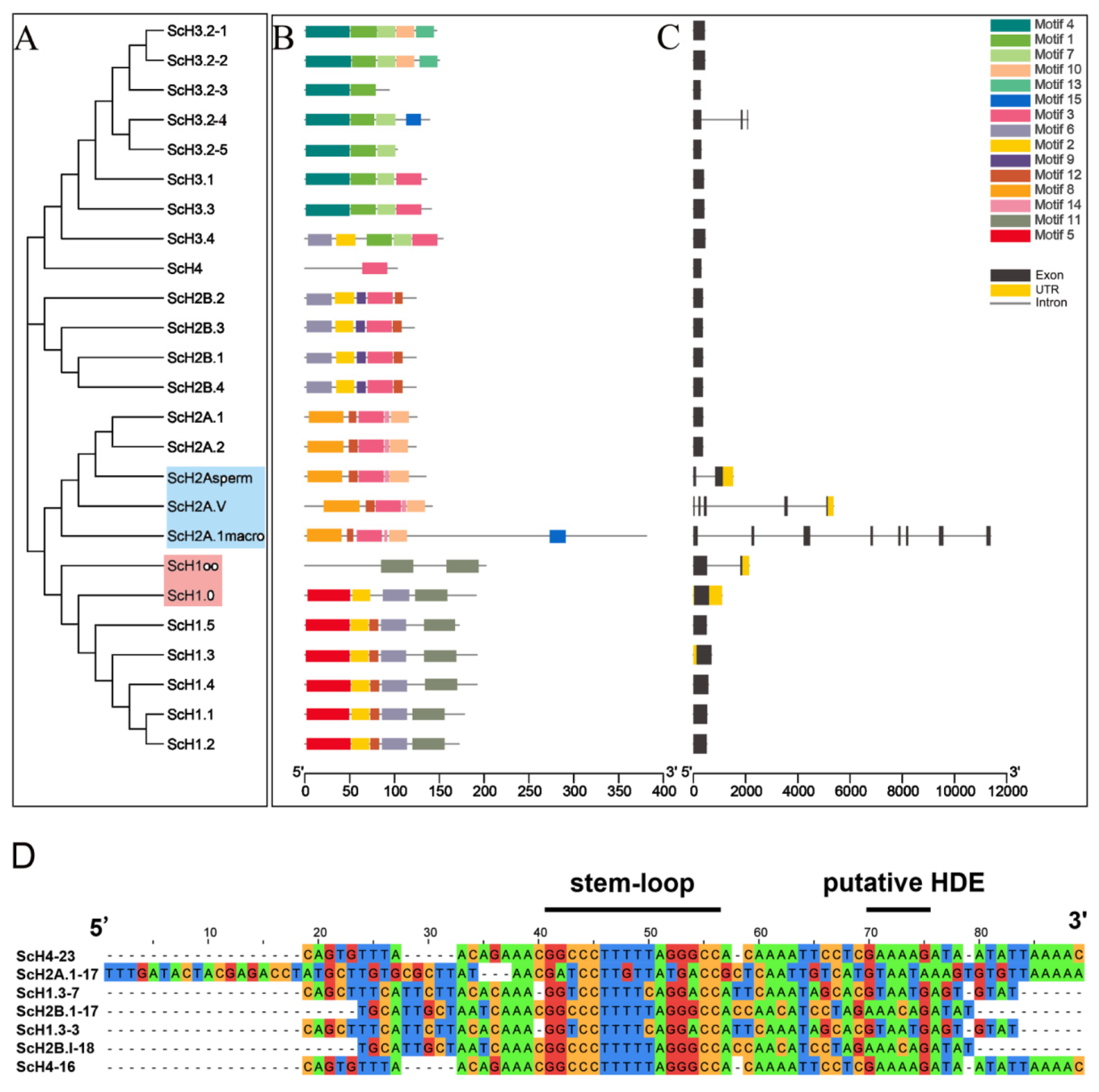 Fishes 07 00005 g004 Fishes 07 00005 g004