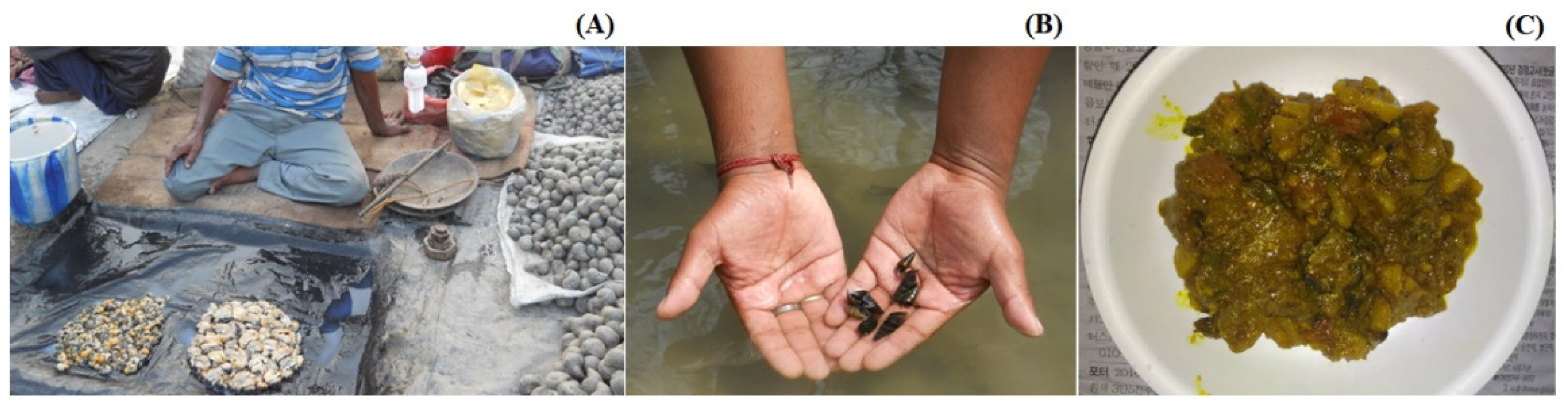 Fishes 07 00006 g001 550