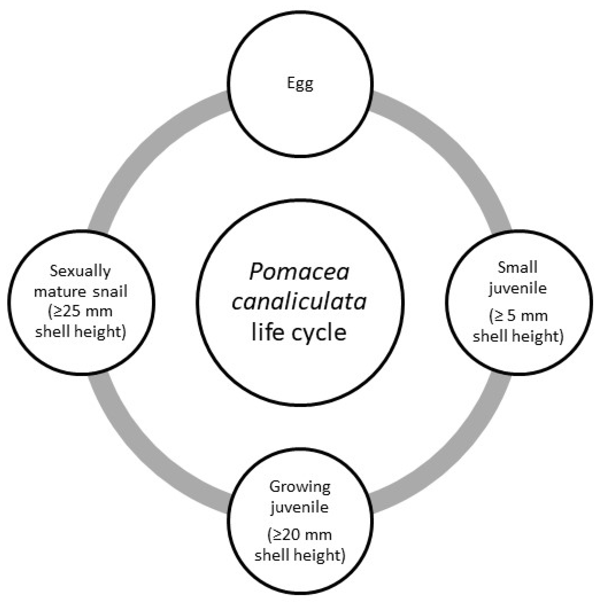 Fishes 07 00006 g004 550
