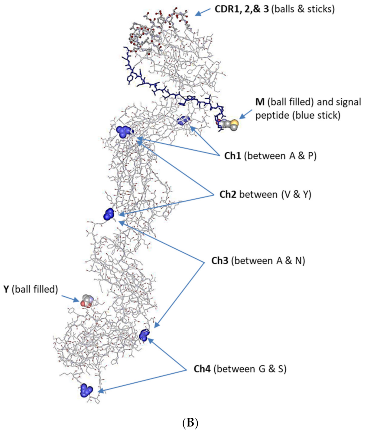 Fishes 07 00024 g001b