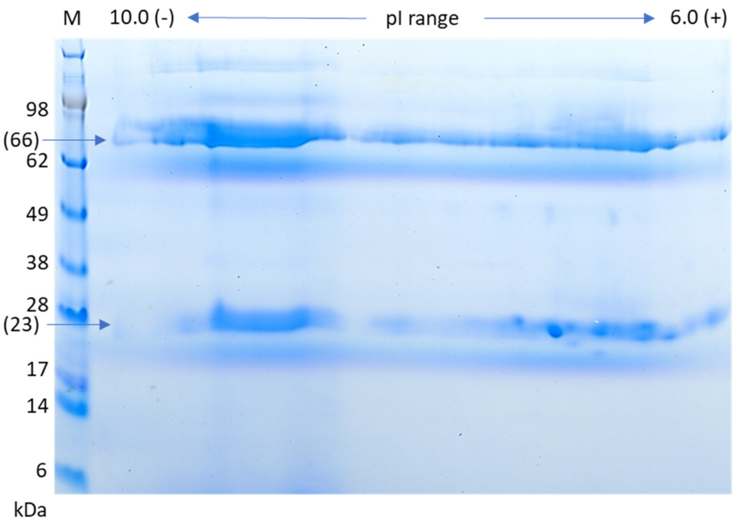 Fishes 07 00024 g004