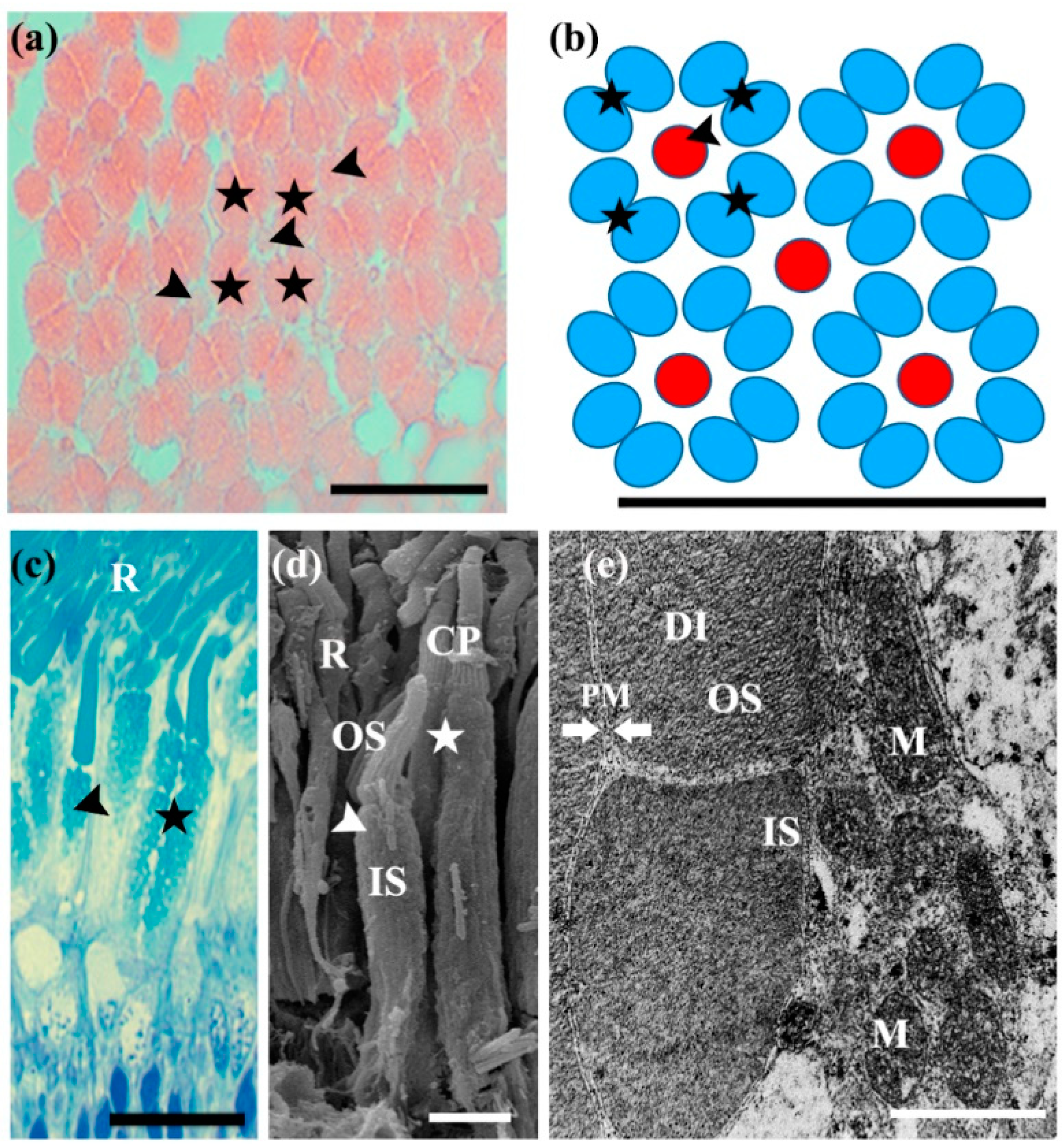 Fishes 07 00025 g002