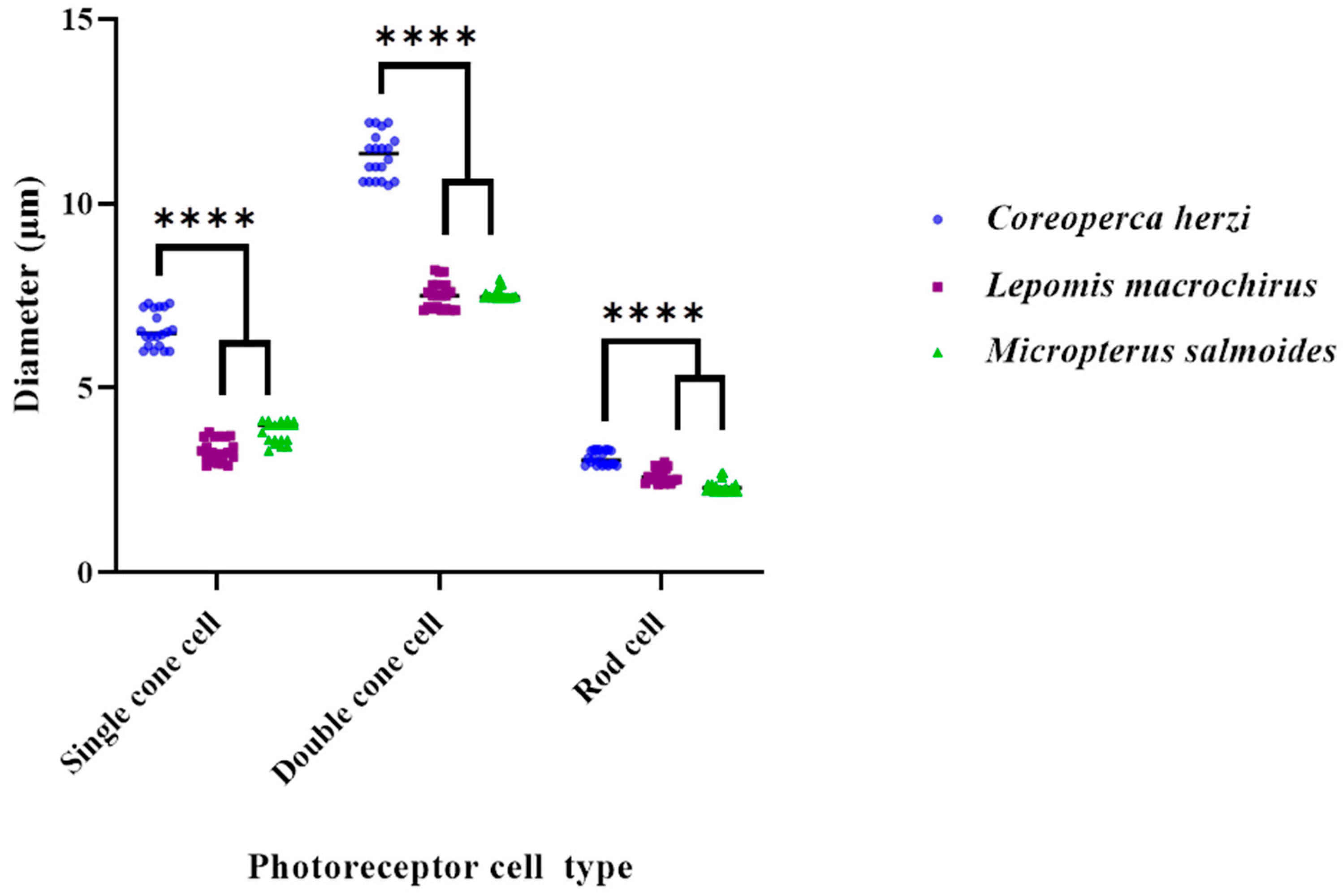 Fishes 07 00025 g003