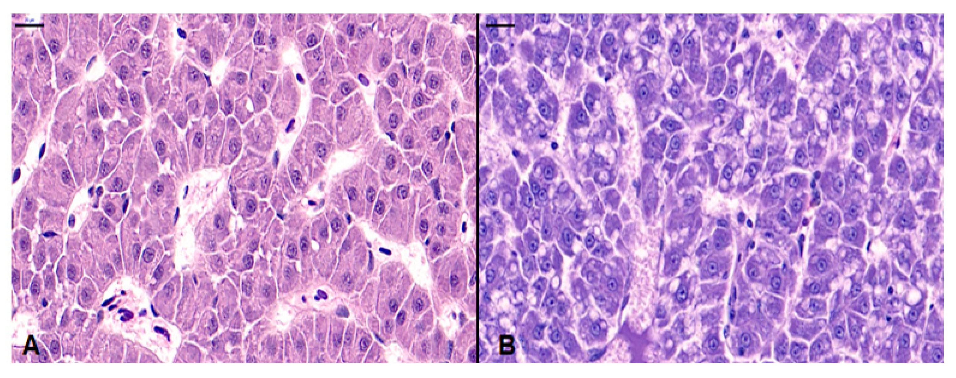 Fishes 07 00026 g004