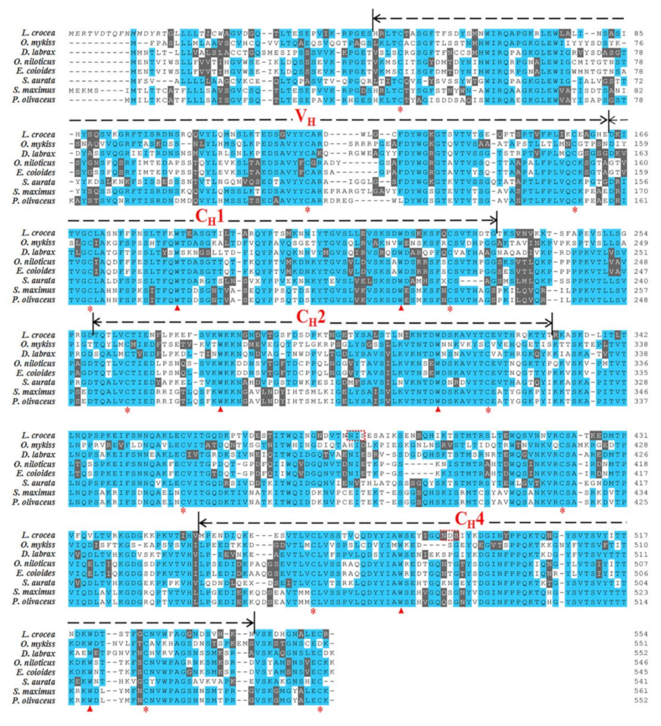 Fishes 07 00029 g001 550