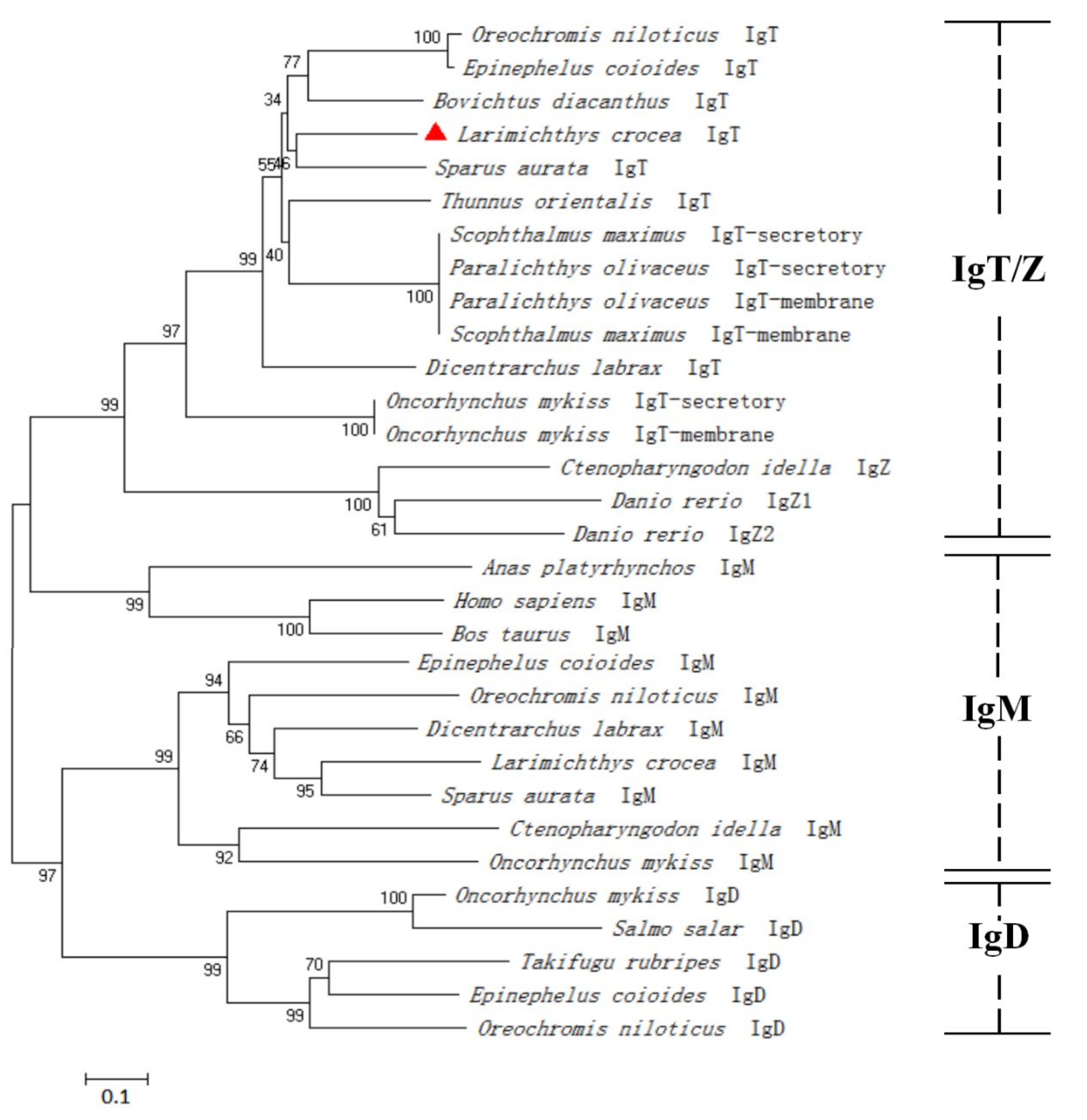 Fishes 07 00029 g002 550
