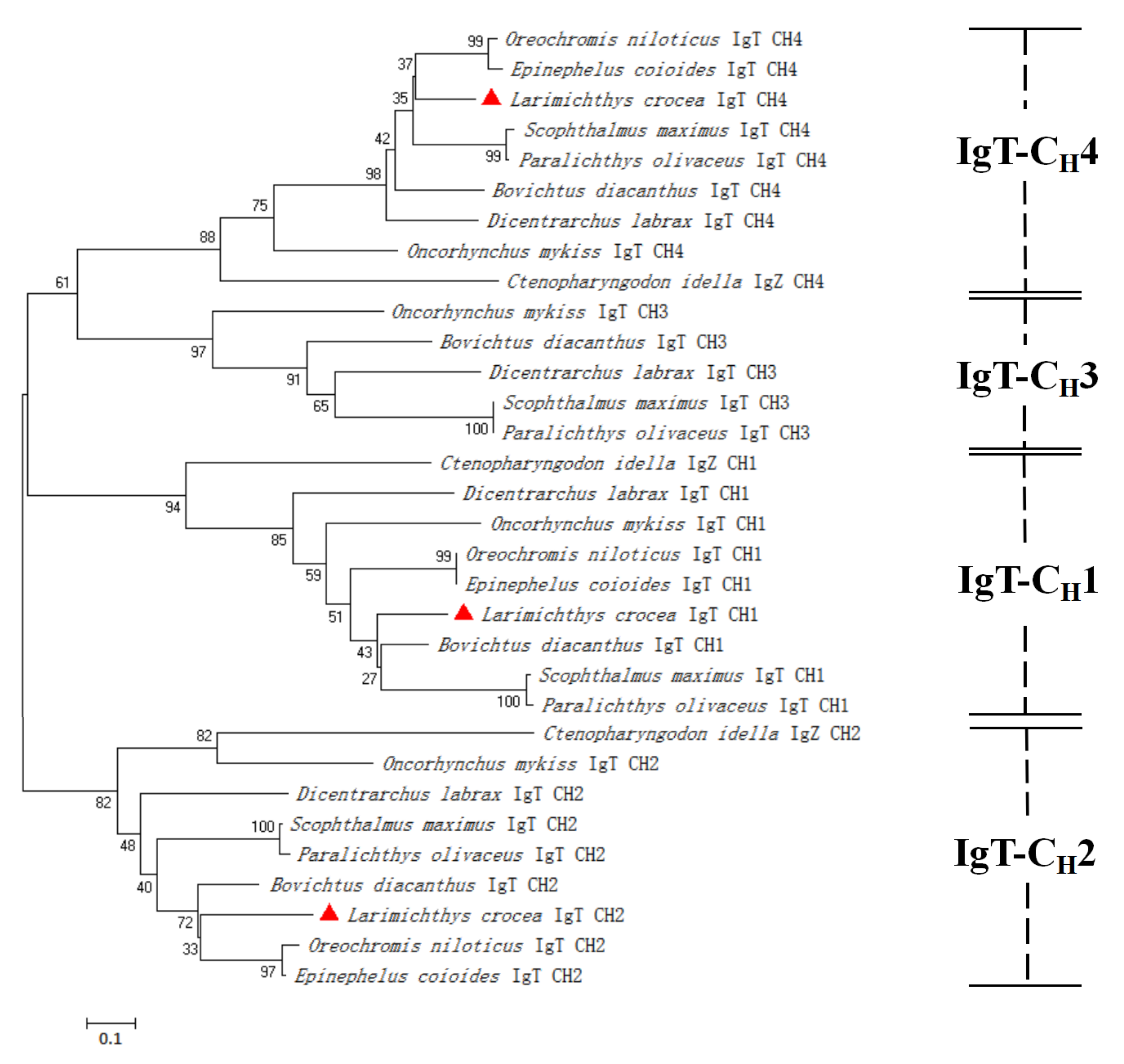 Fishes 07 00029 g003 550