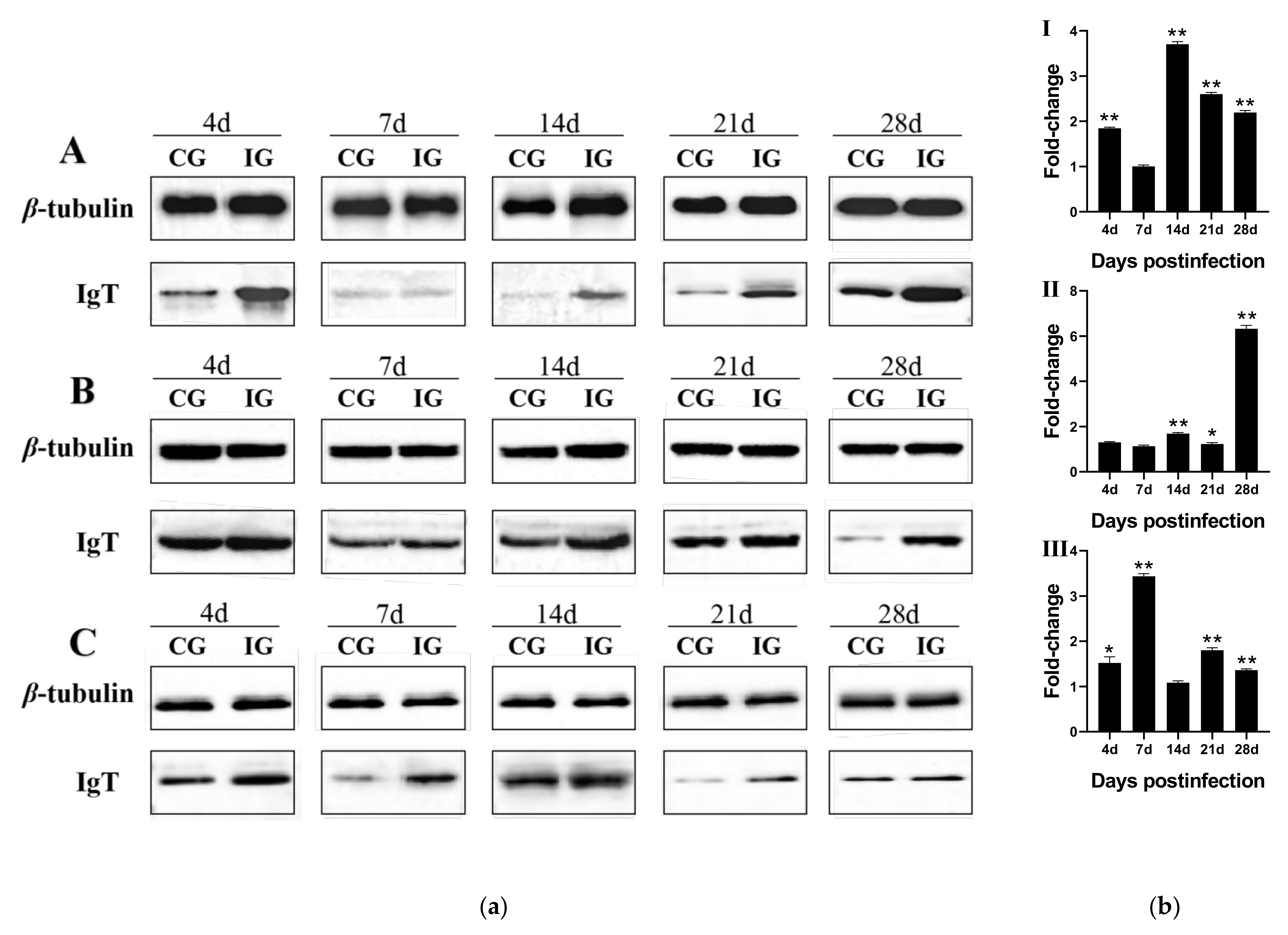 Fishes 07 00029 g006 550