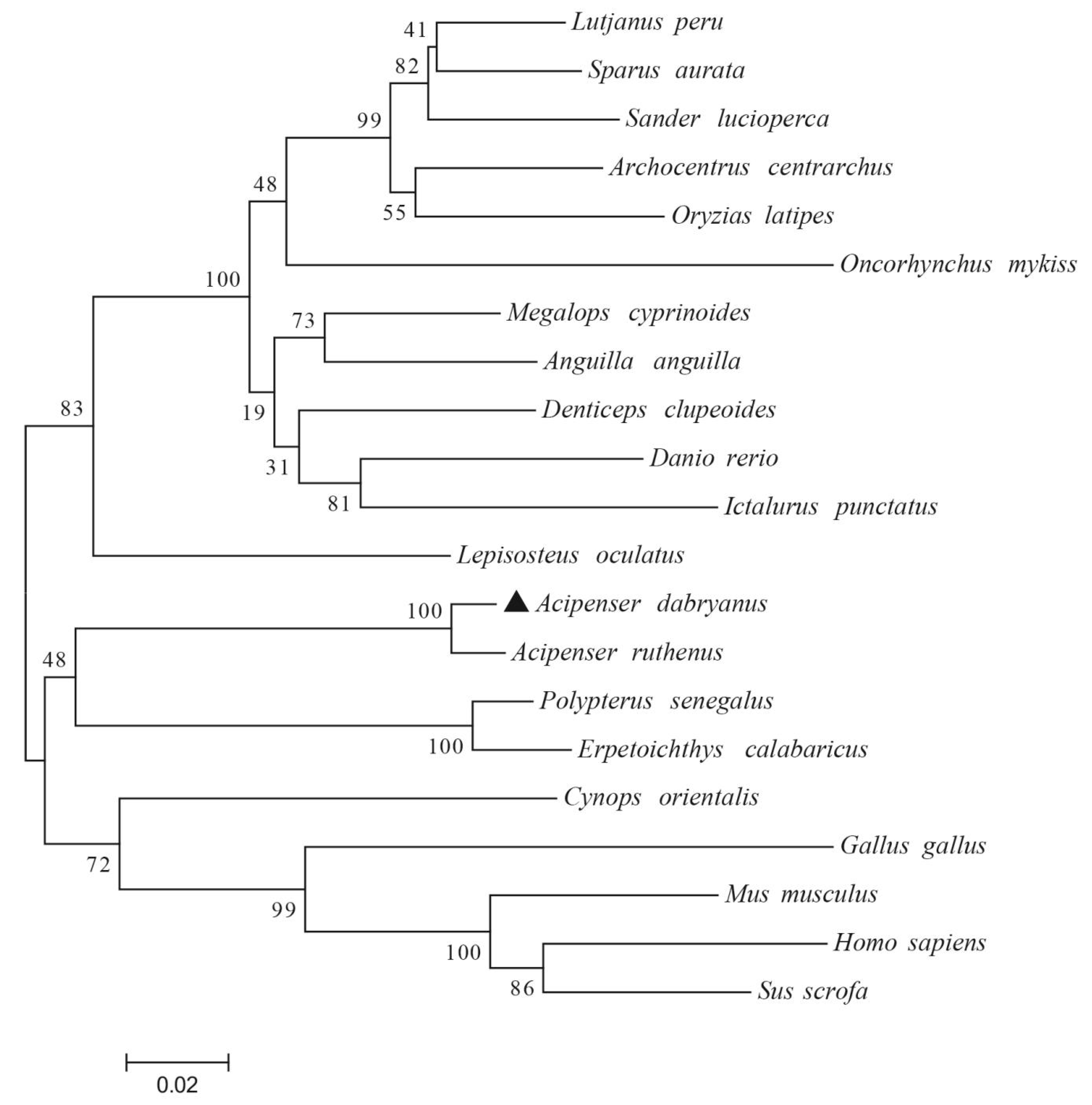 Fishes 07 00035 g005 550