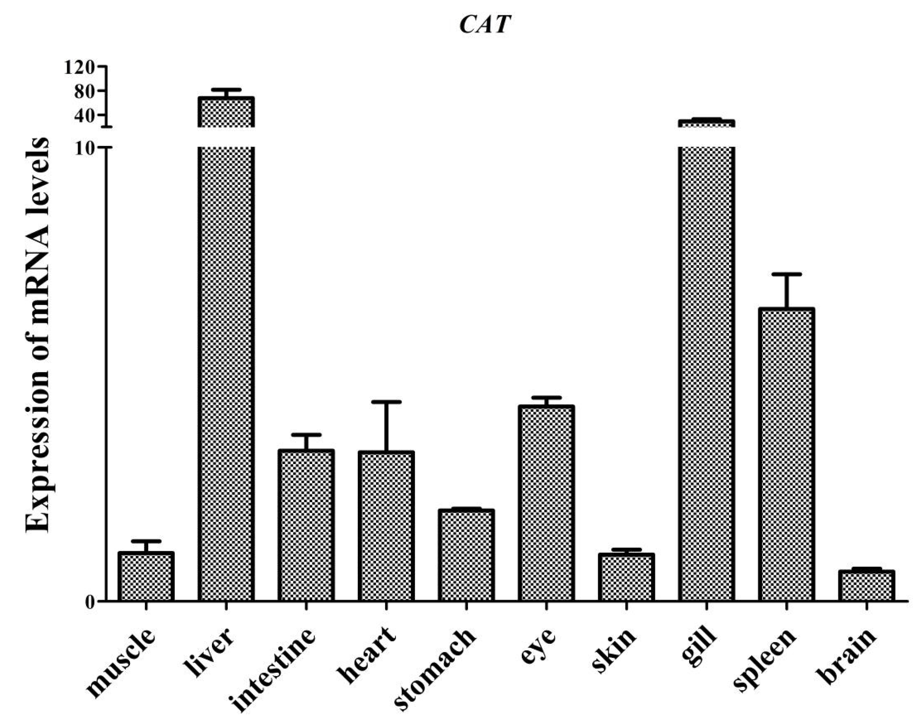 Fishes 07 00035 g007 550