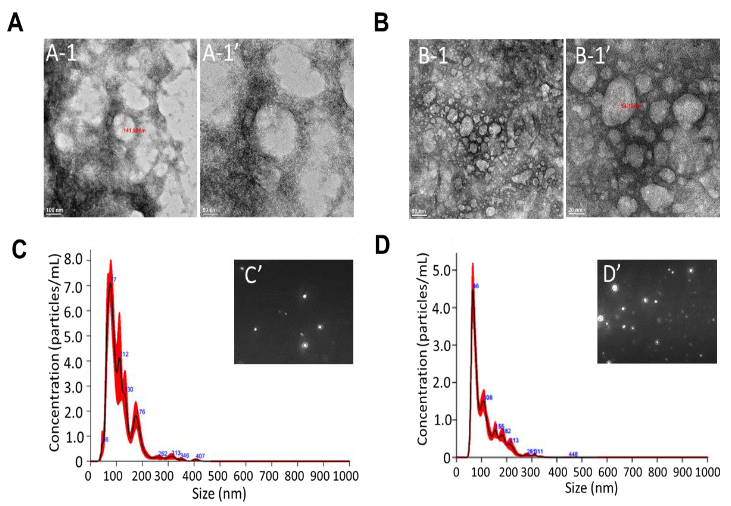 Fishes 07 00036 g001 550