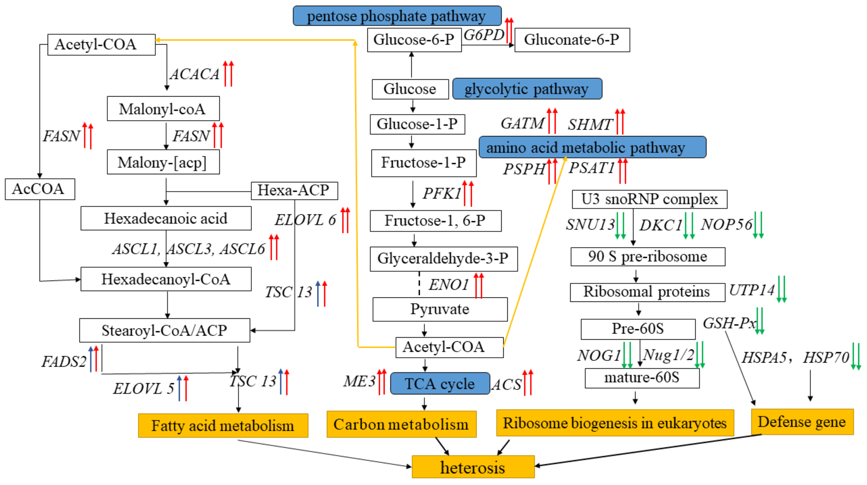 Fishes 07 00043 g007