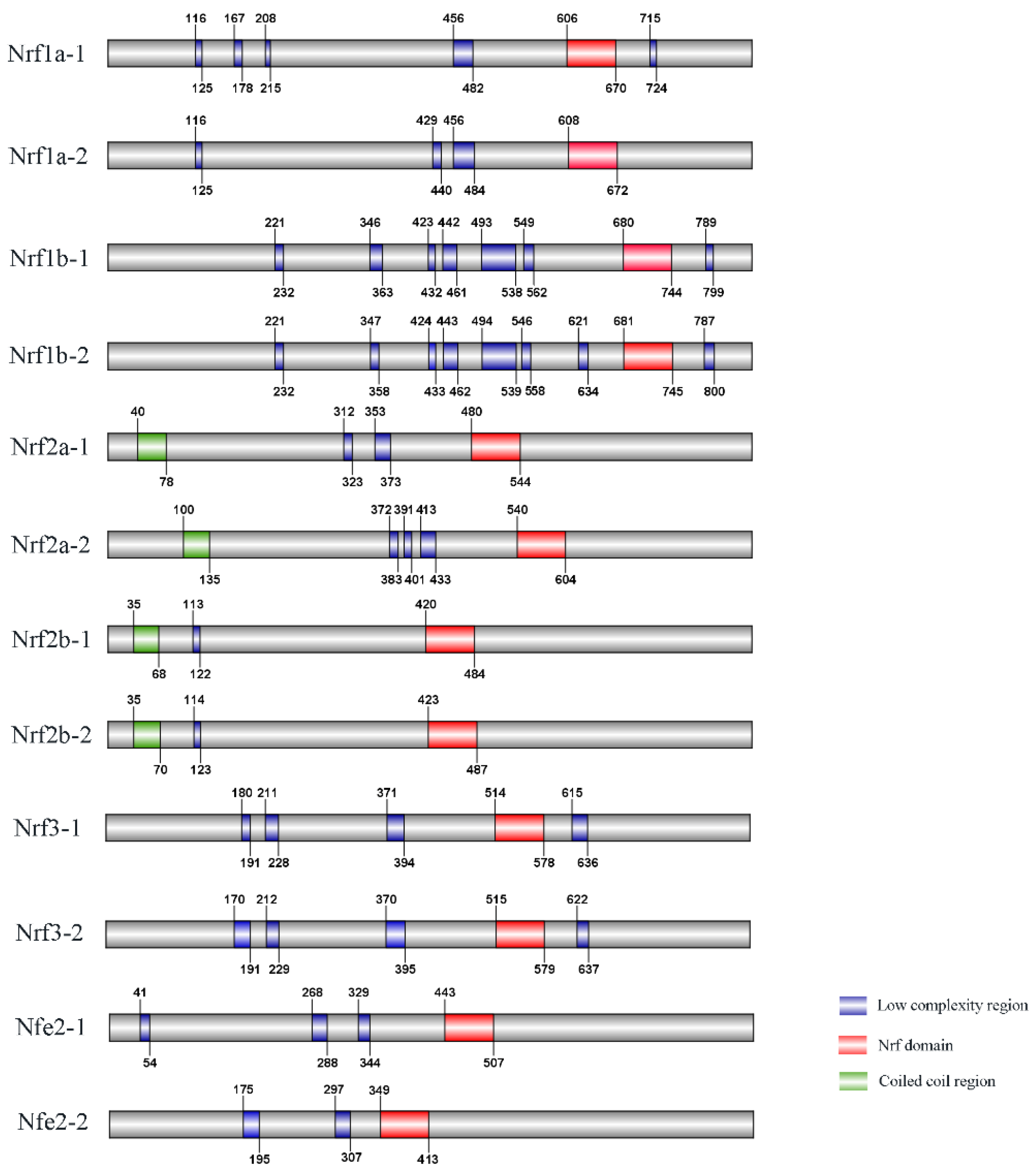 Fishes 07 00048 g001