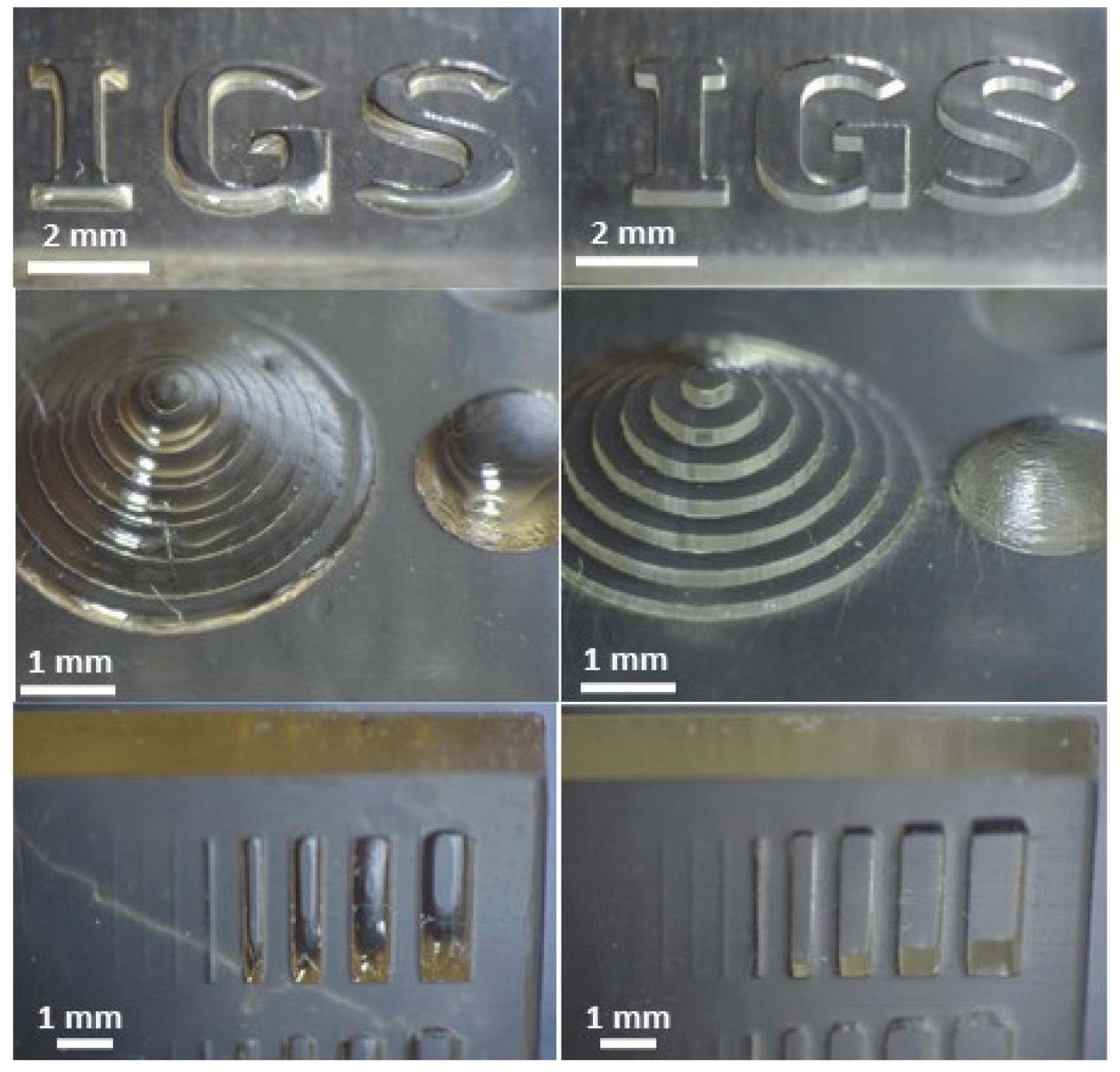 Fishes 07 00049 g003 550