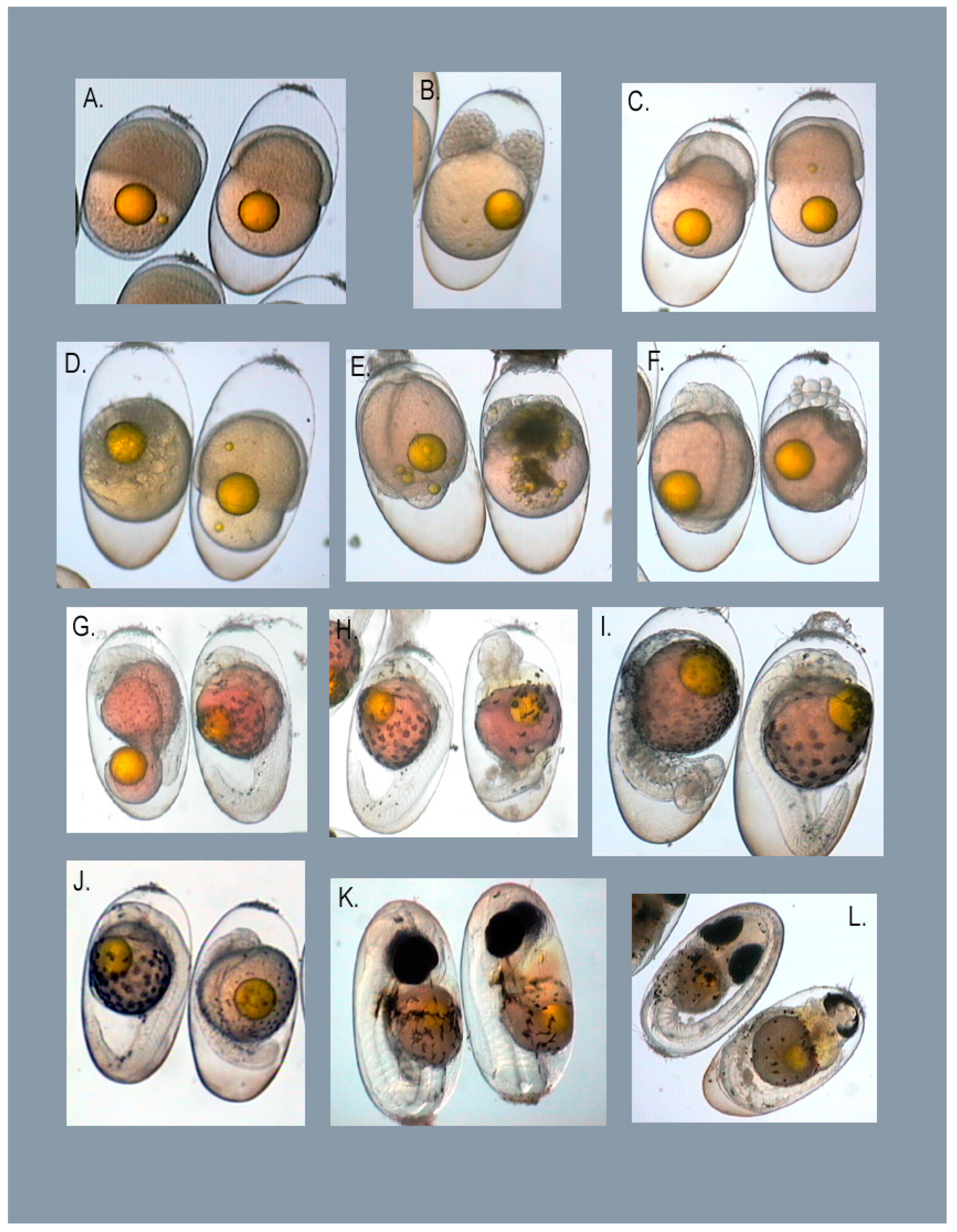 Fishes 07 00055 g002