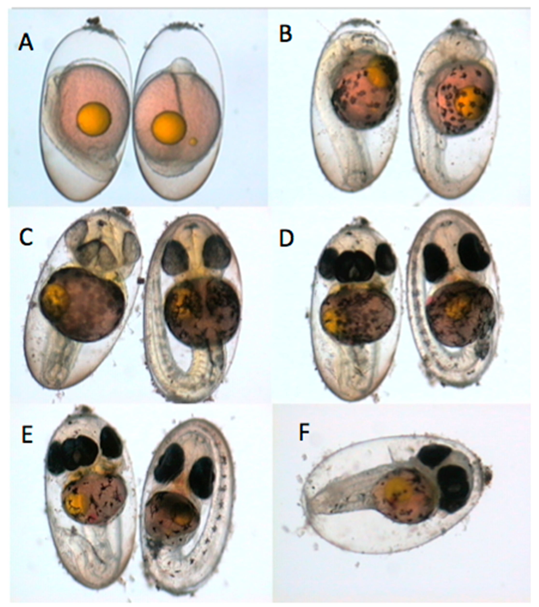 Fishes 07 00055 g003