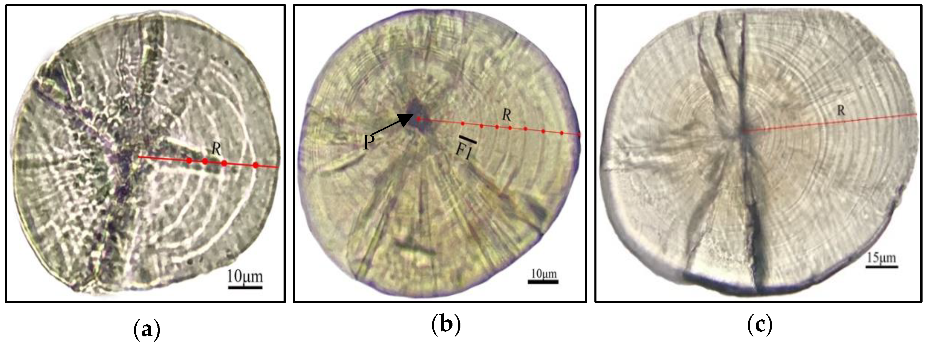 Fishes 07 00057 g006