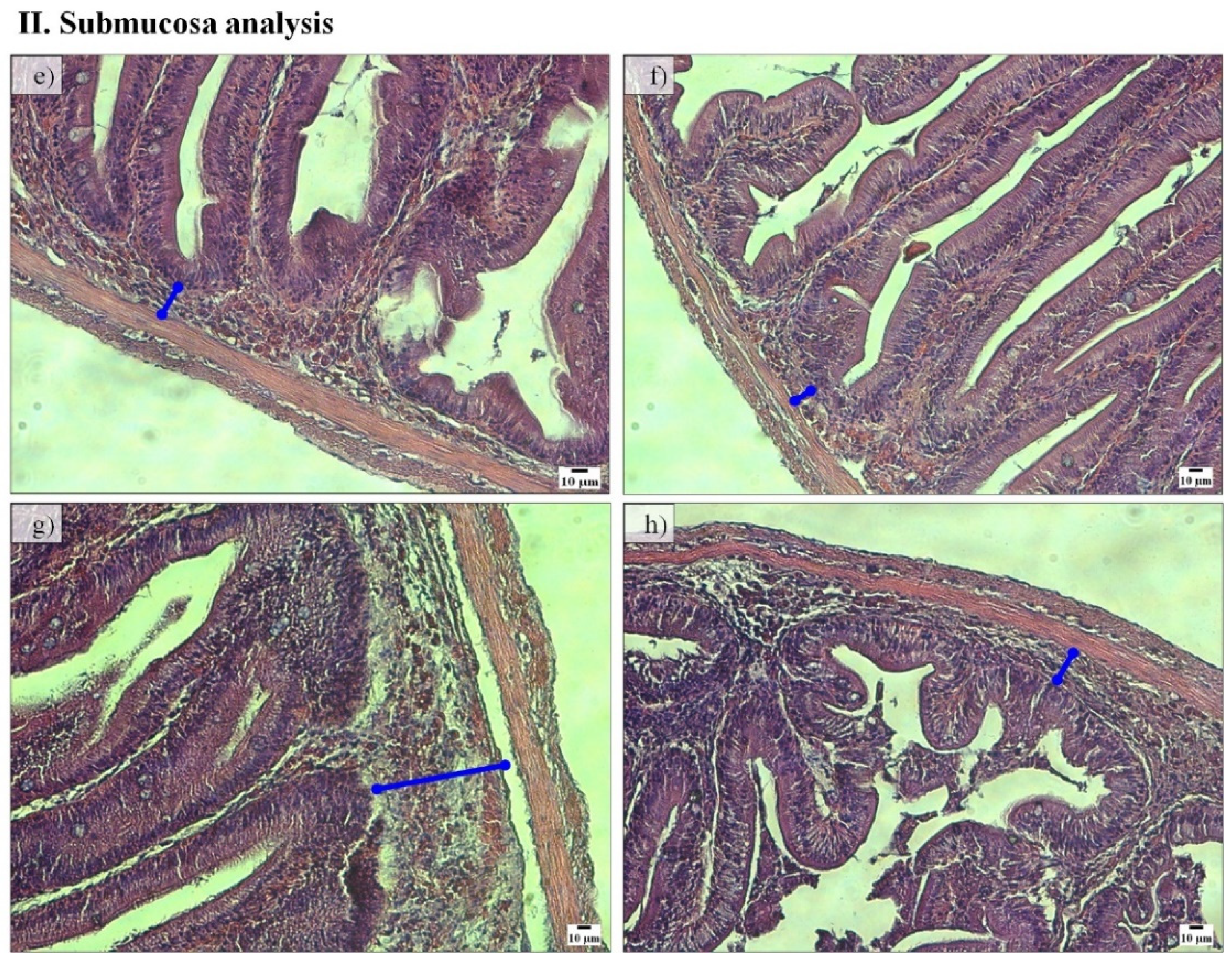 Fishes 07 00059 g002b