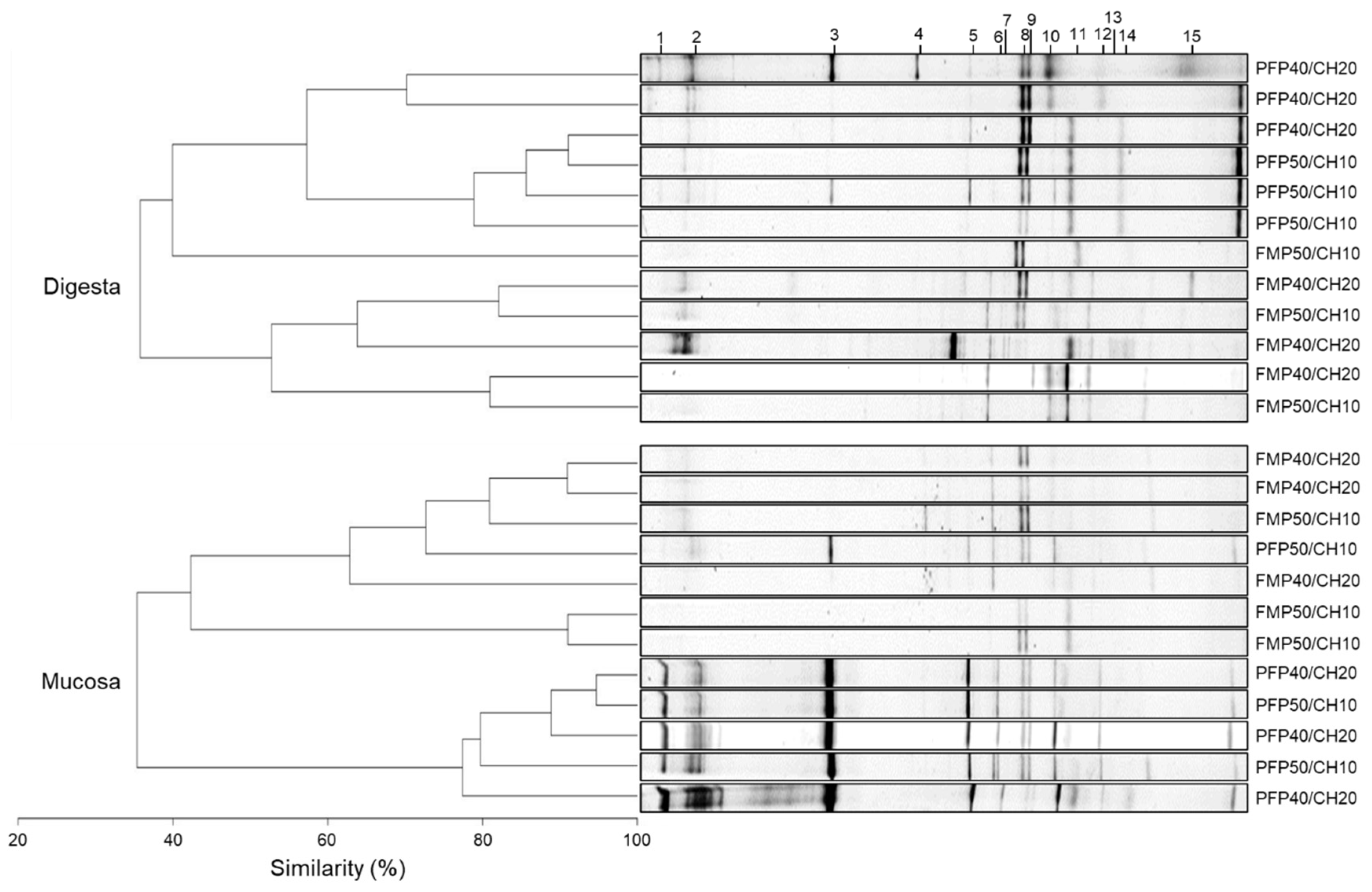 Fishes 07 00059 g004