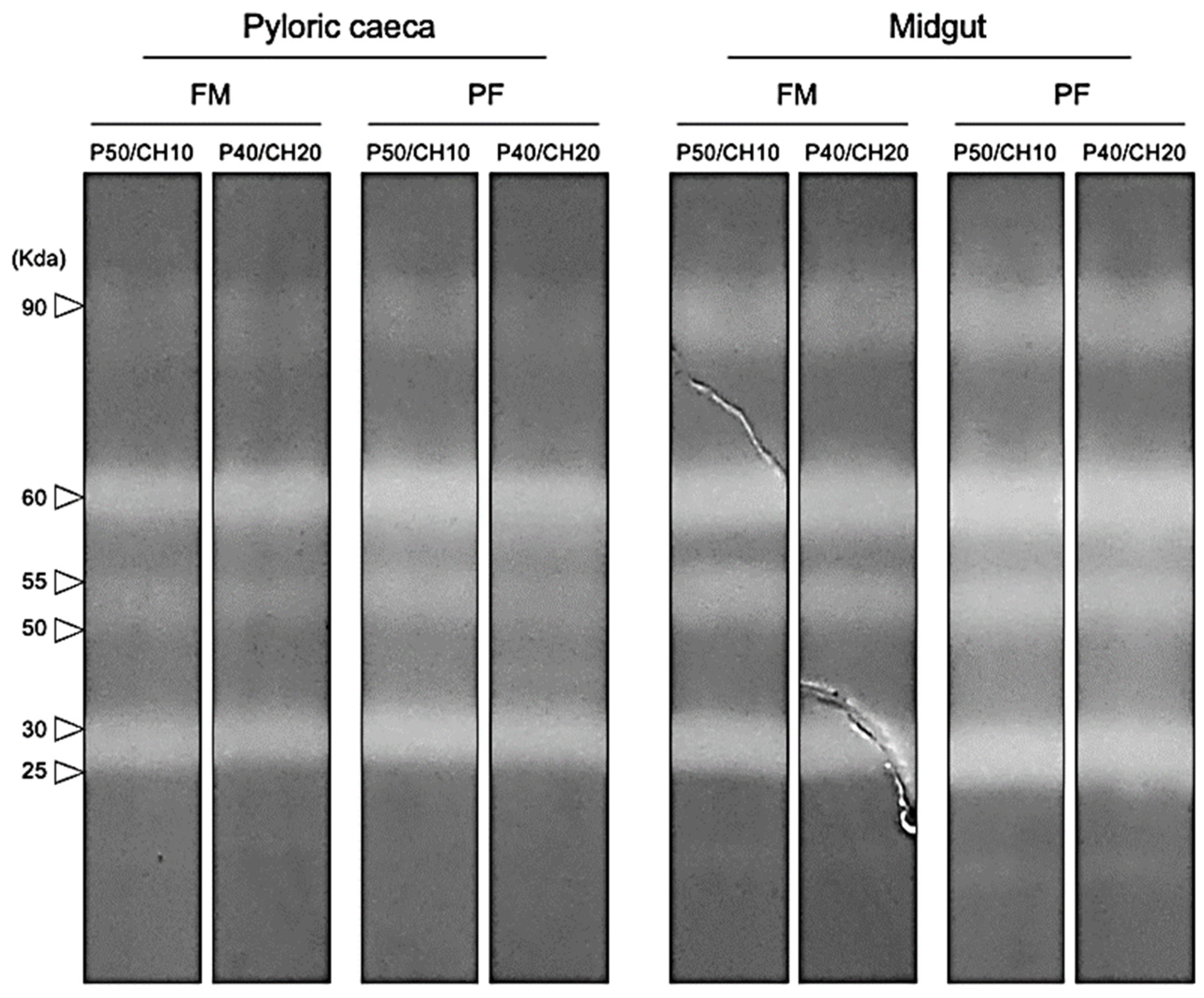 Fishes 07 00059 g005