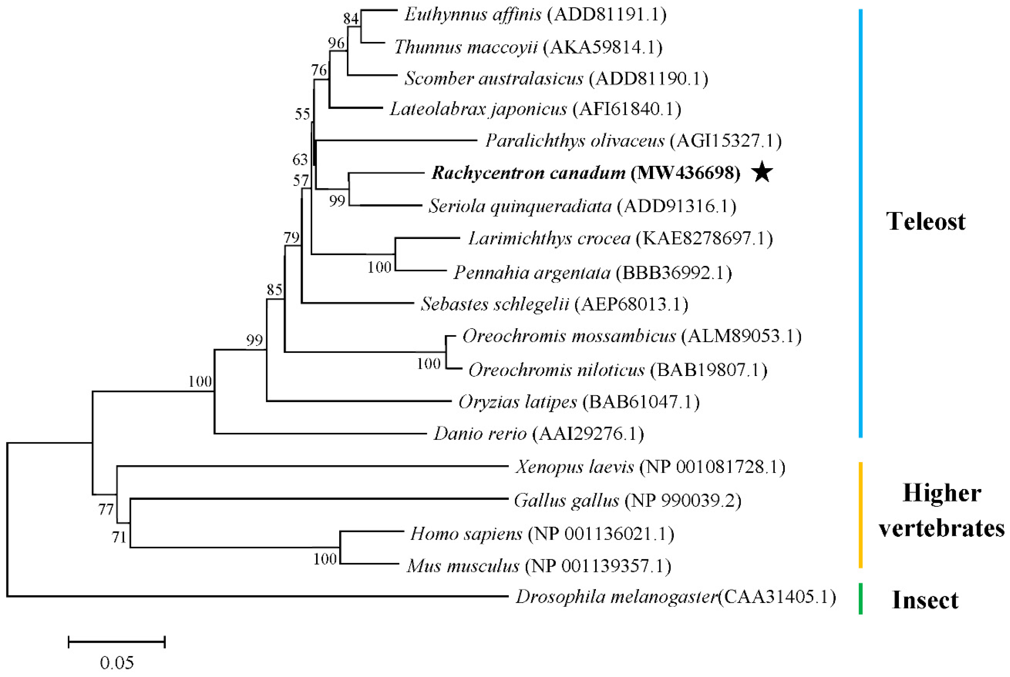 Fishes 07 00060 g002