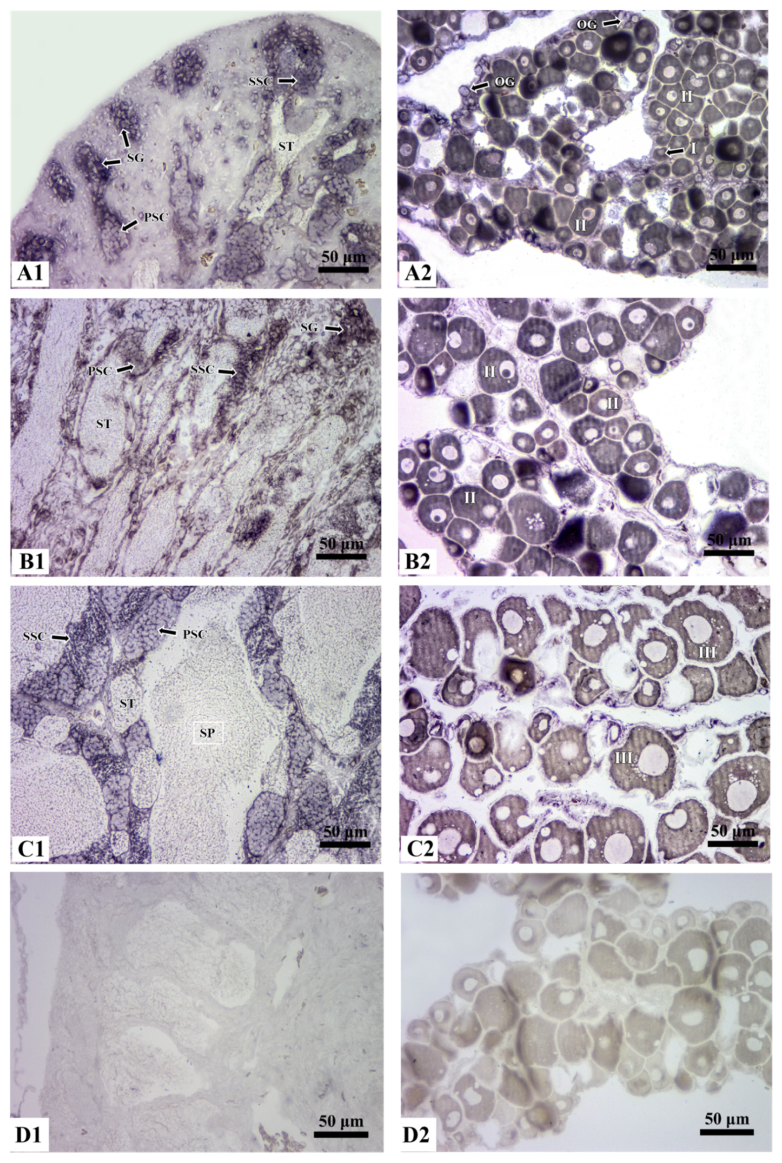 Fishes 07 00060 g005