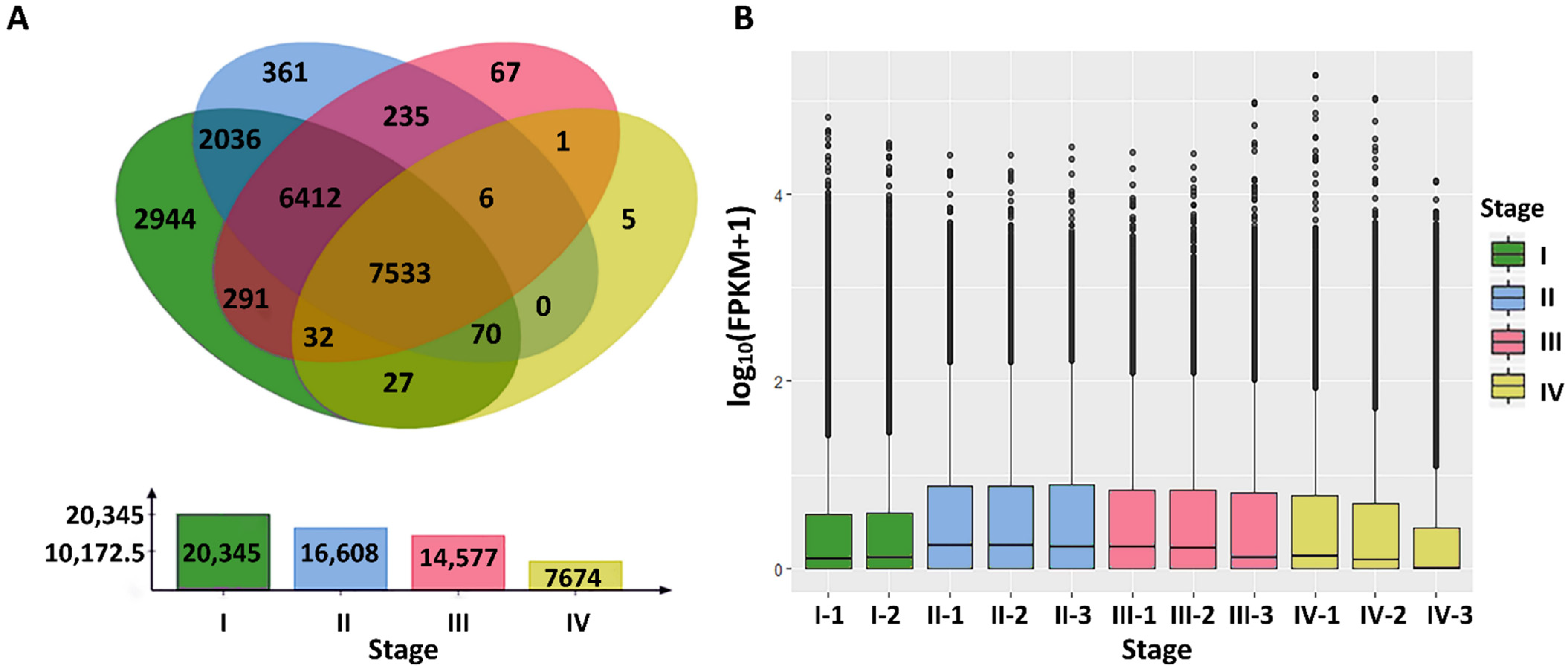 Fishes 07 00064 g002 550