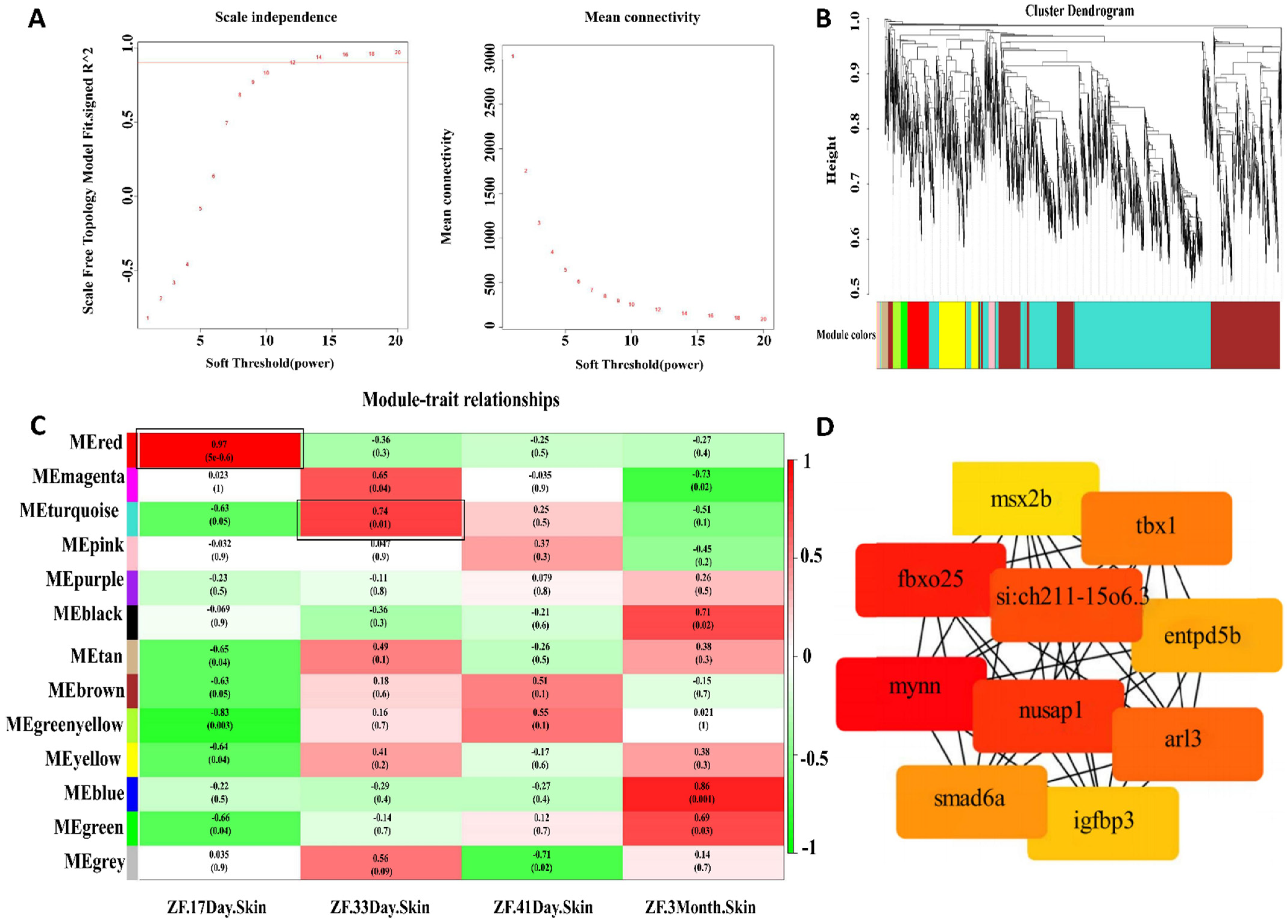 Fishes 07 00064 g003 550
