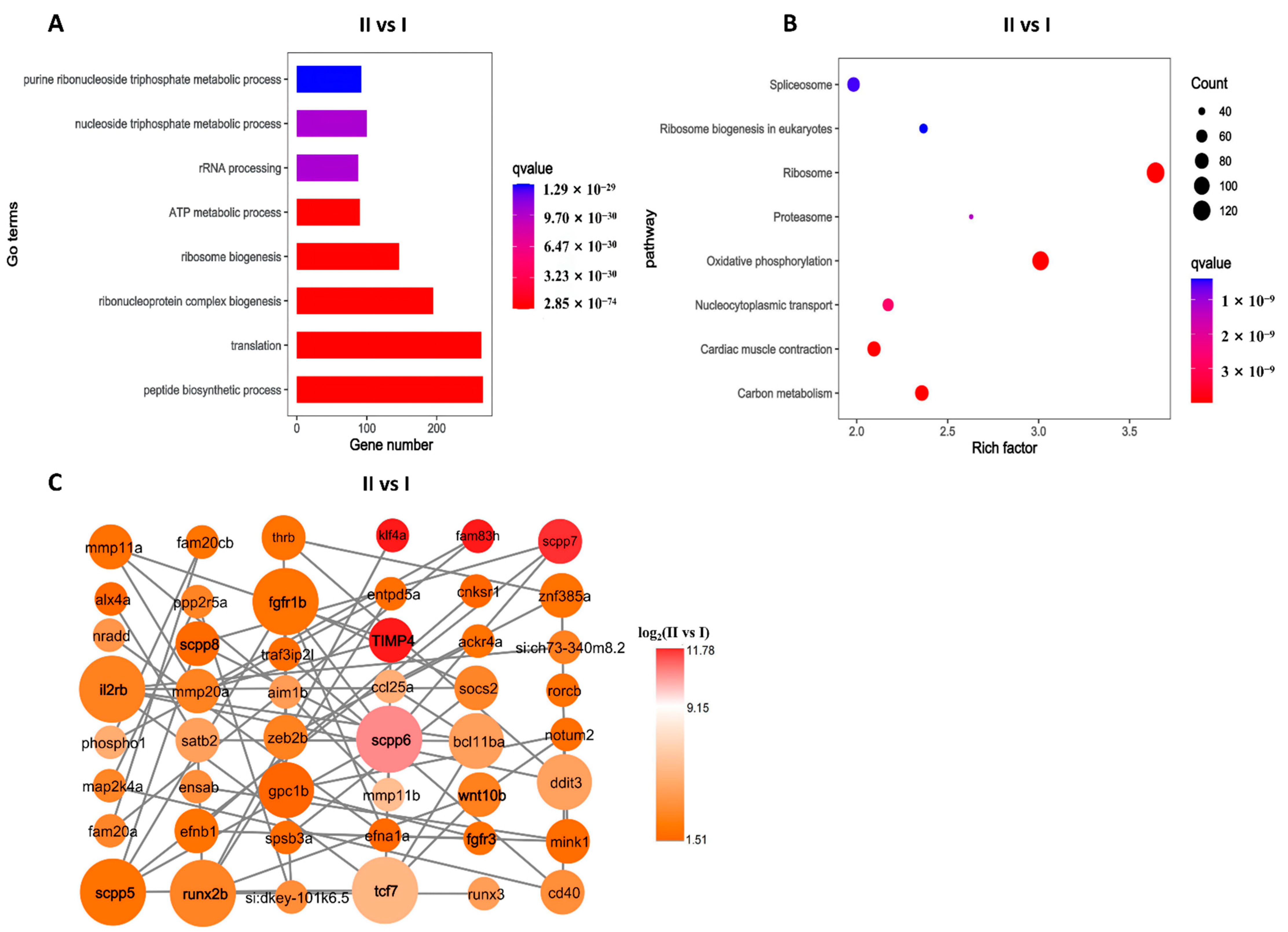 Fishes 07 00064 g004 550