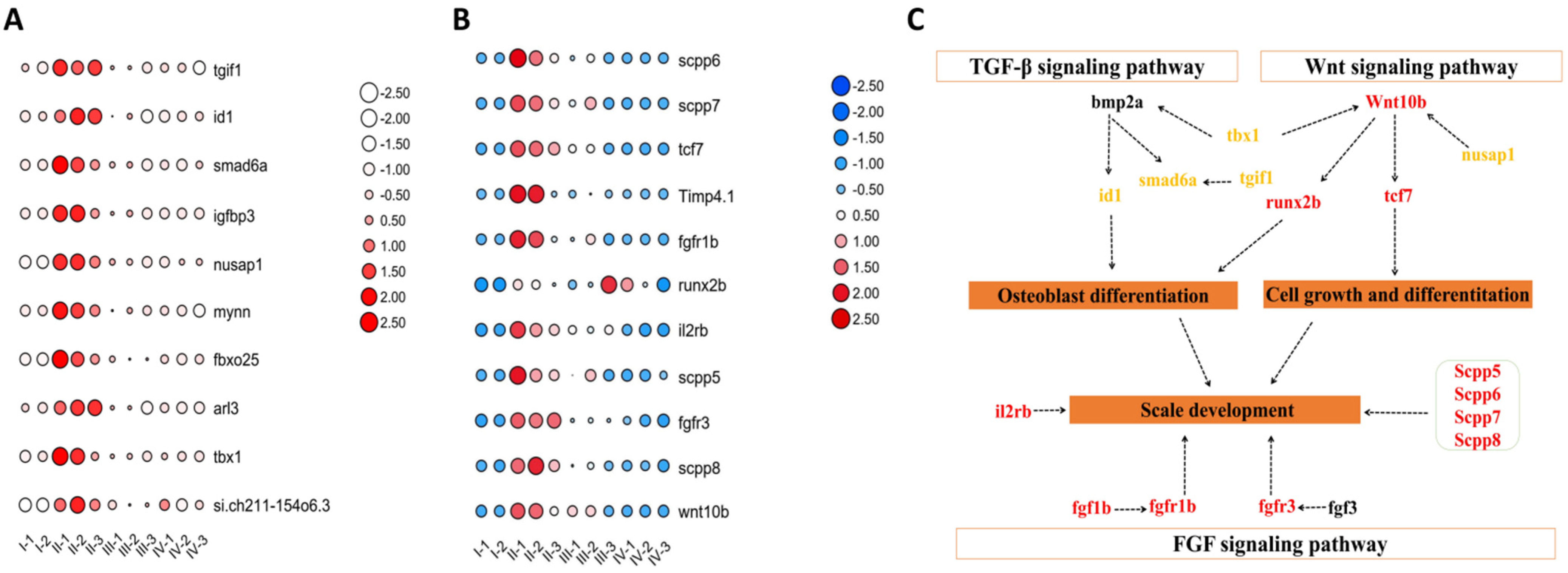 Fishes 07 00064 g005 550