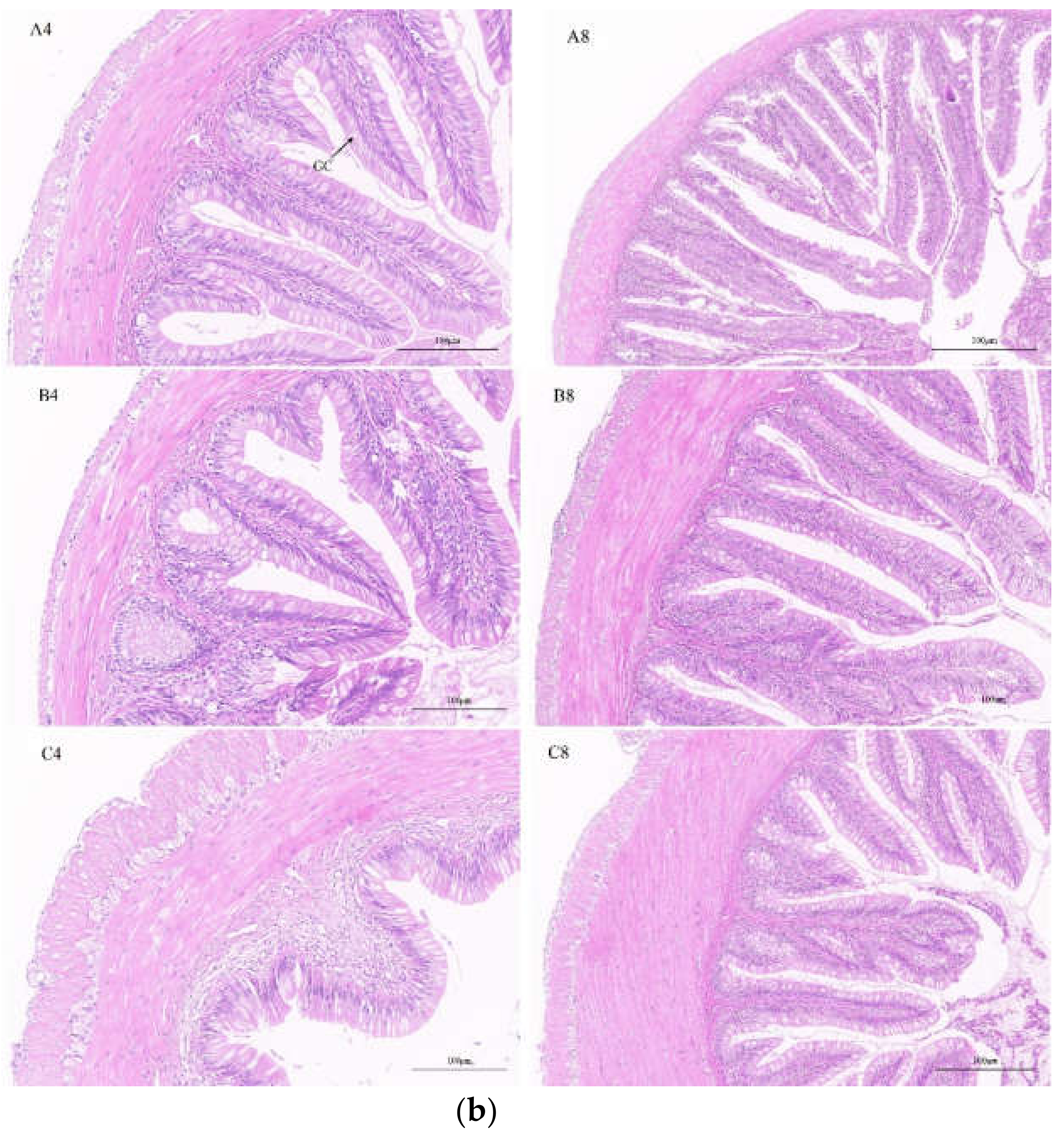 Fishes 07 00065 g001b Fishes 07 00065 g001b
