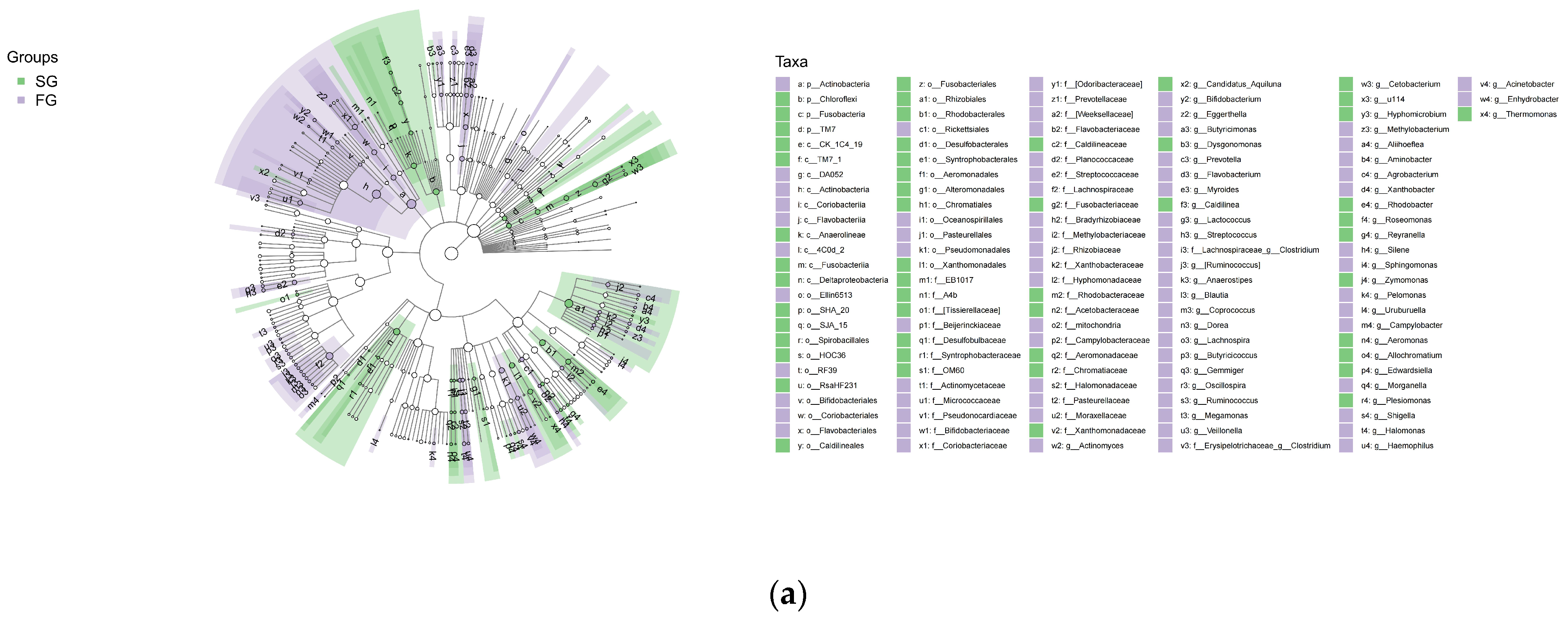 Fishes 07 00065 g005a Fishes 07 00065 g005a