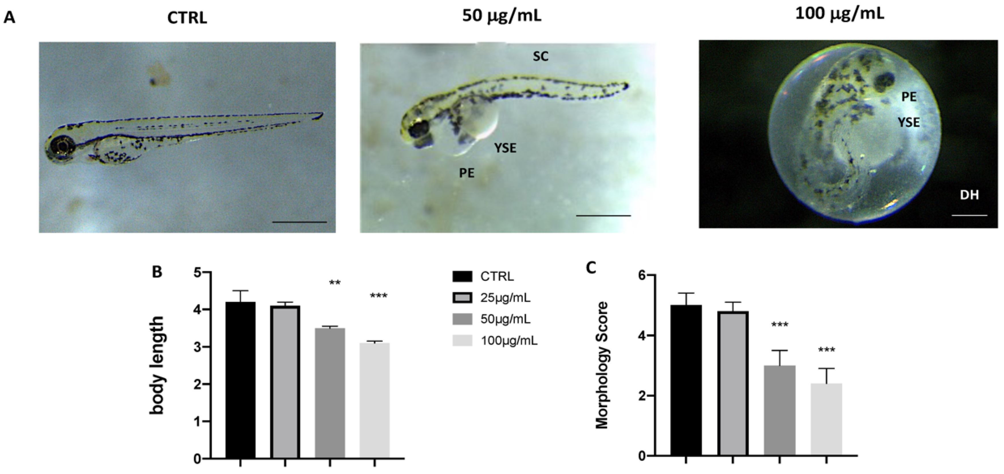Fishes 07 00067 g002