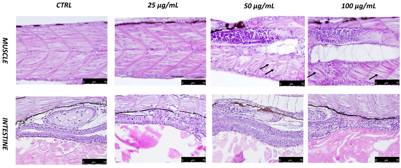 Fishes 07 00067 g003