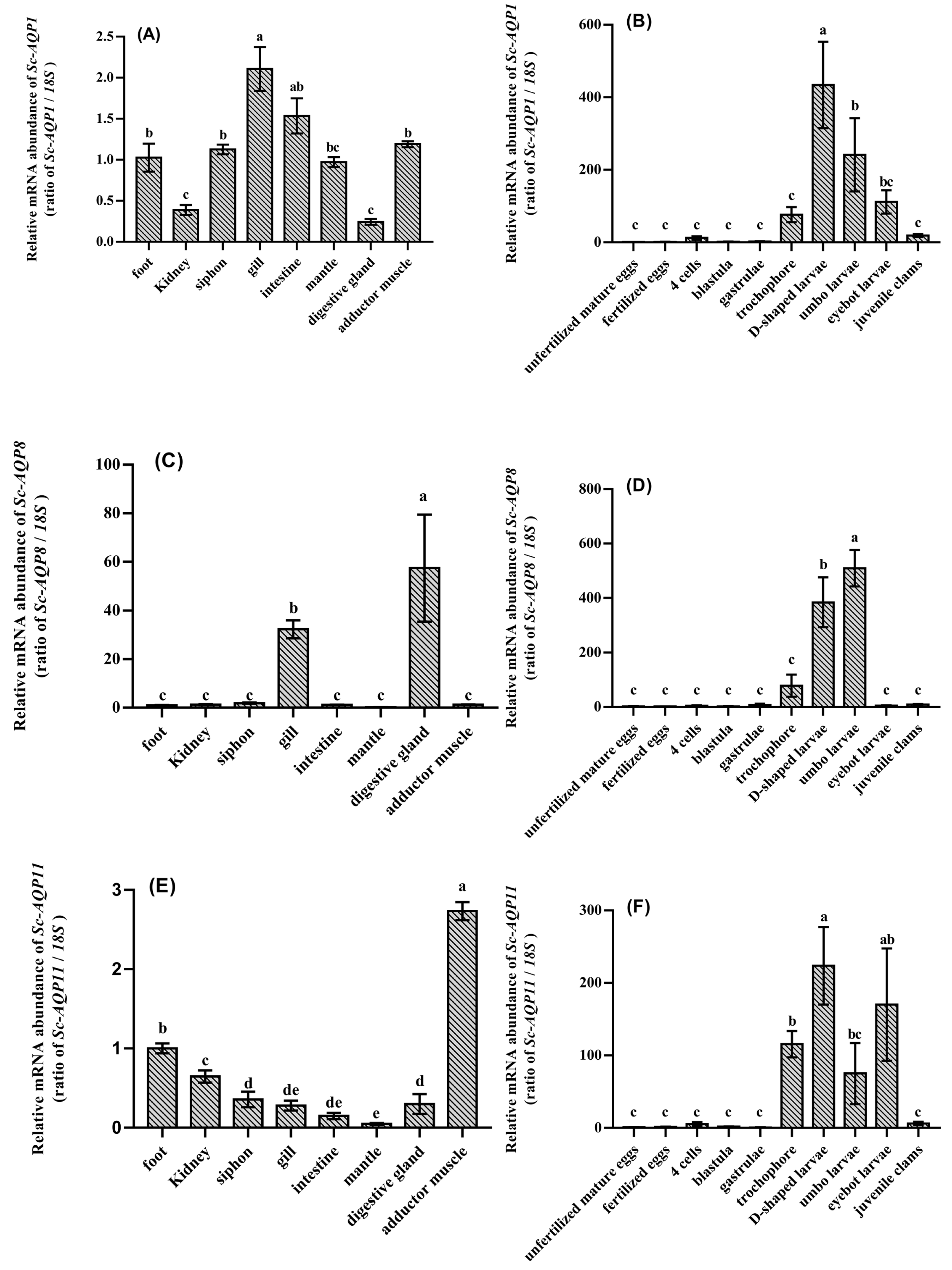 Fishes 07 00069 g005 Fishes 07 00069 g005