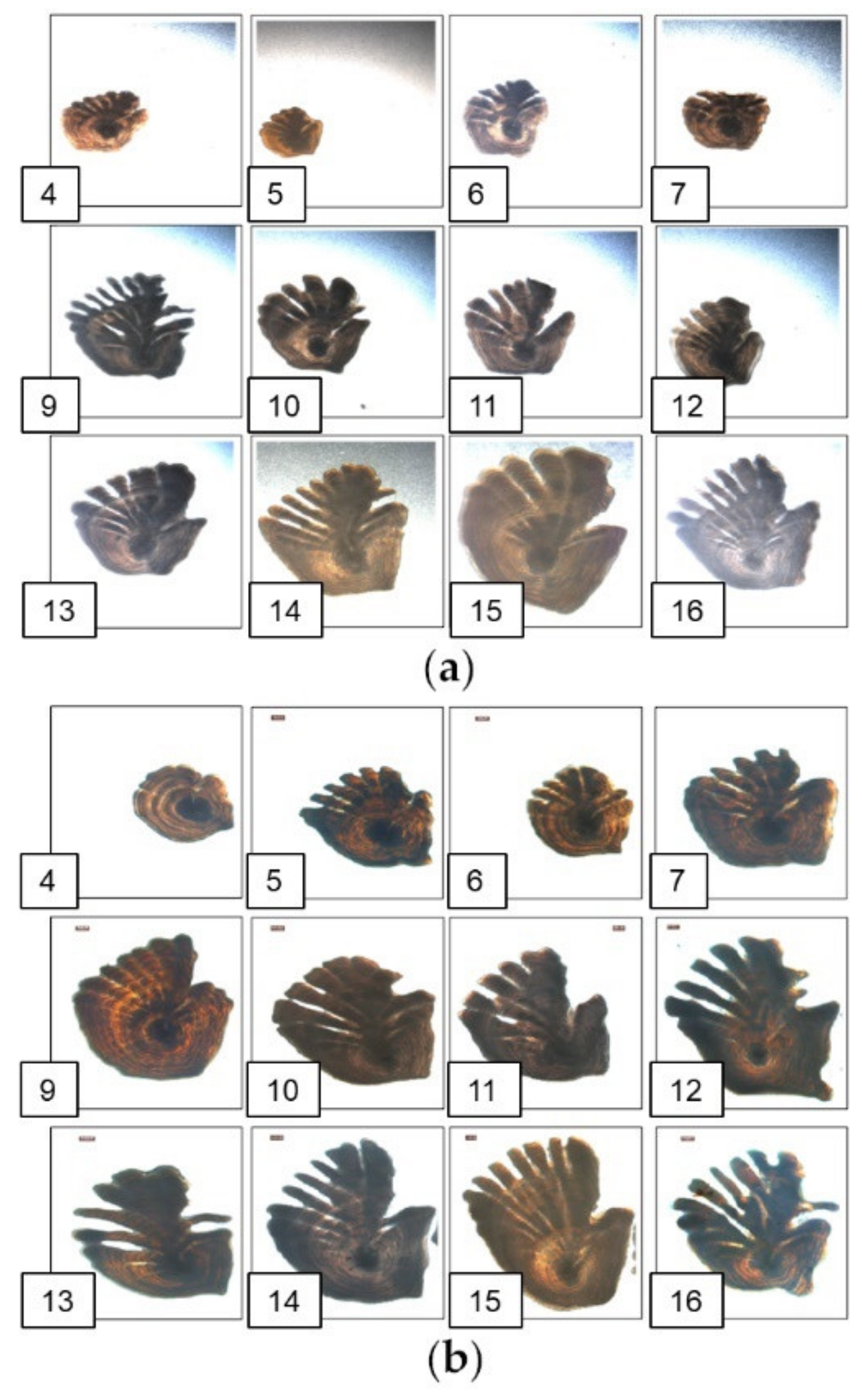 Fishes 07 00071 g001 550