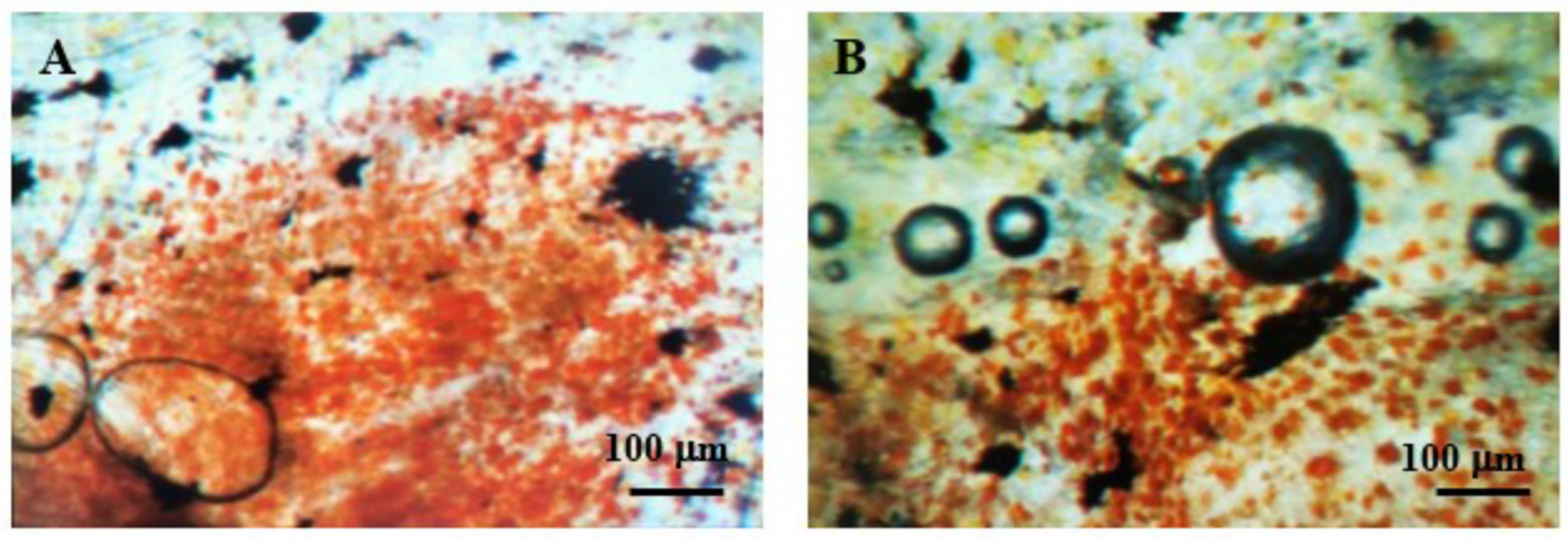 Fishes 07 00072 g001 550