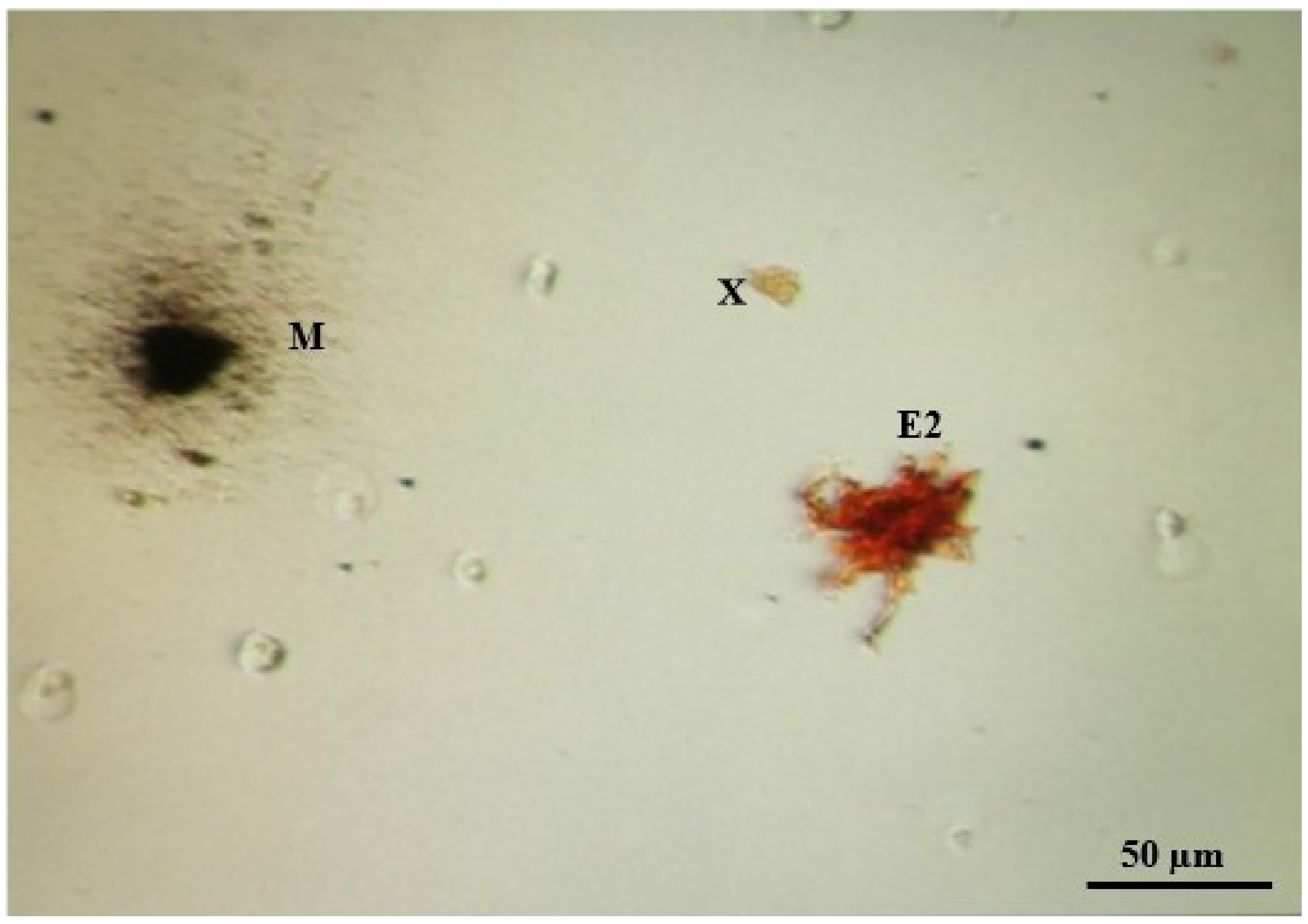 Fishes 07 00072 g003 550